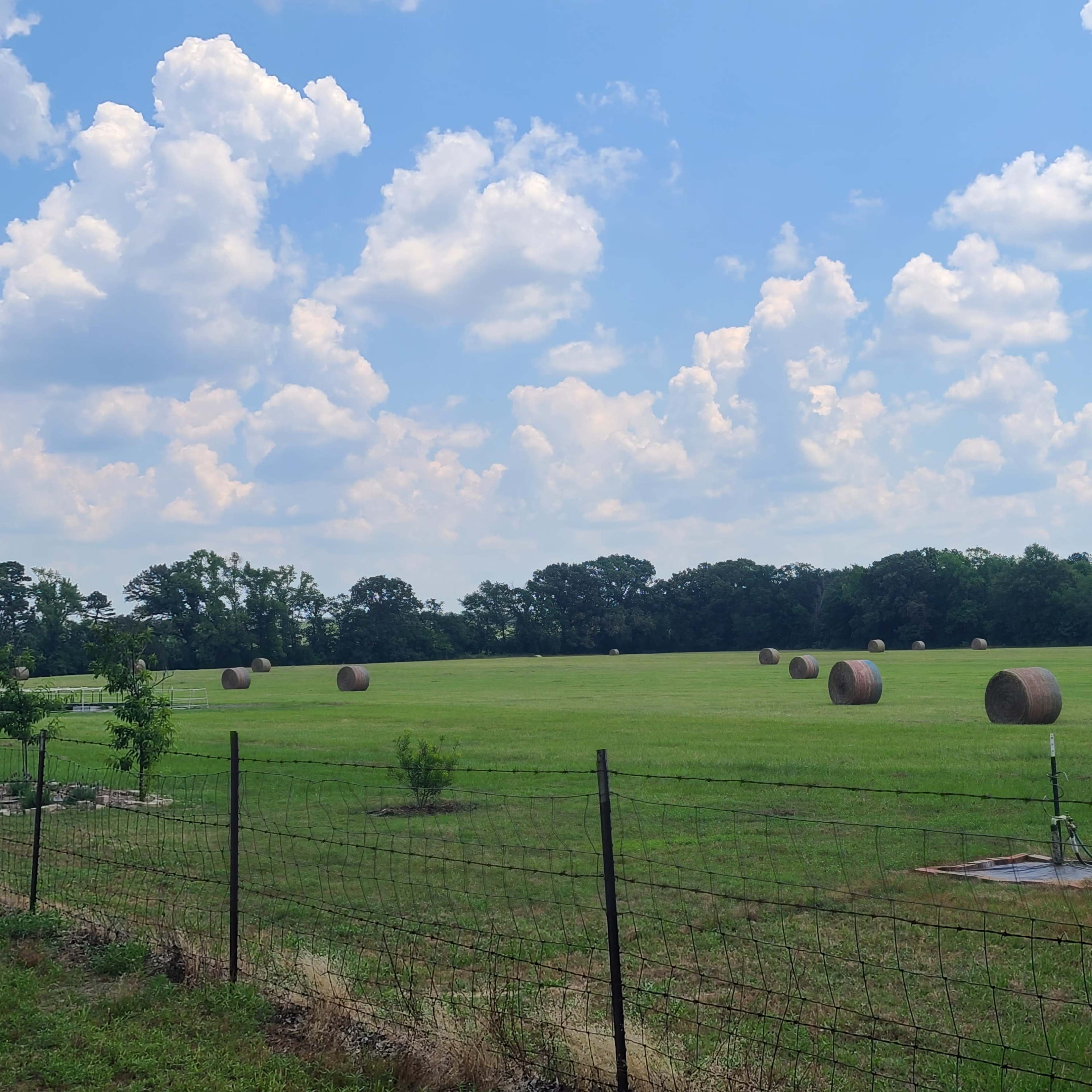 50 Acre Tranquil Retreat in the Heart of East Texas Image in Leesburg, Leesburg, TX