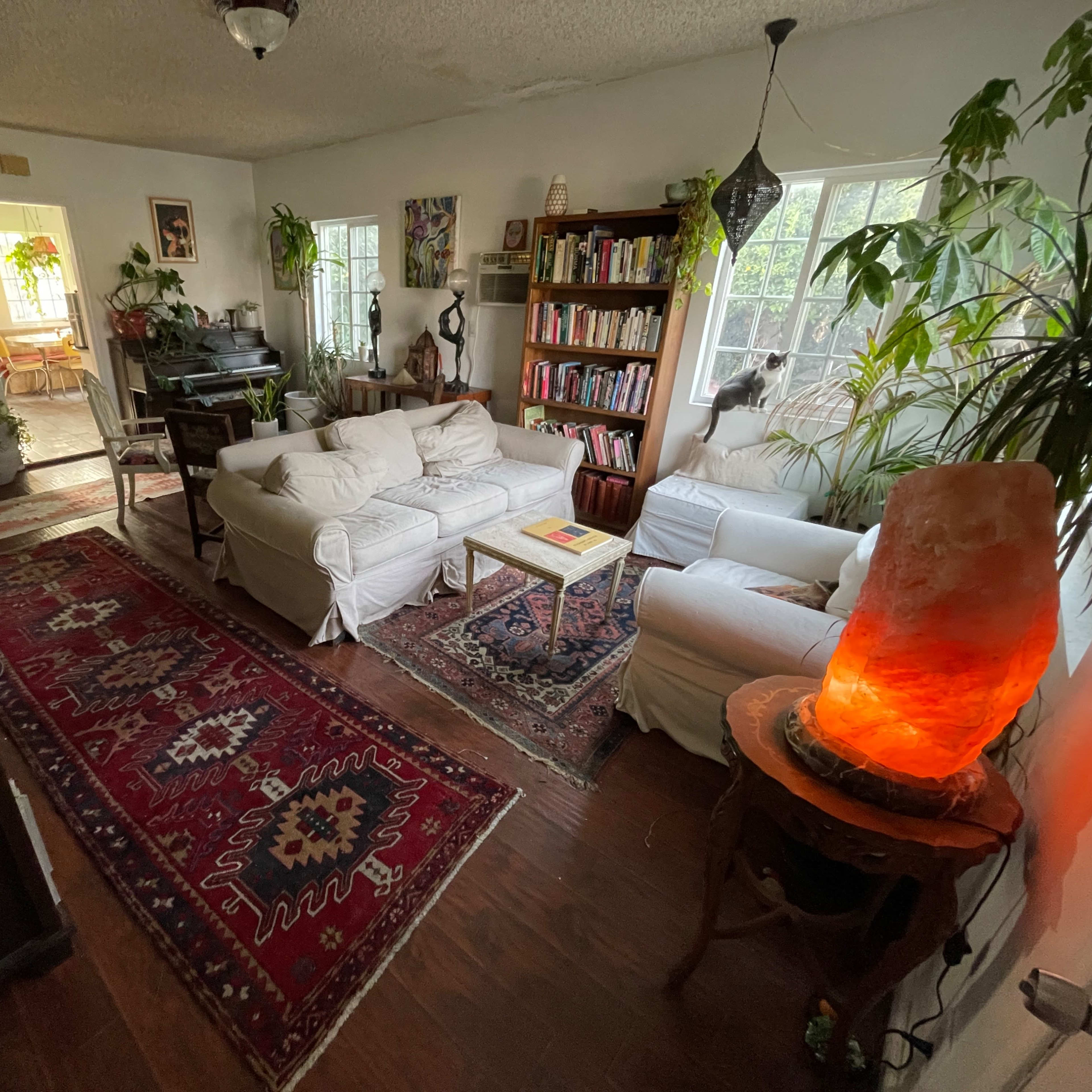 A cozy living room with white sofas, a bookshelf, potted plants, and a glowing salt lamp, all arranged around a rich, patterned rug.