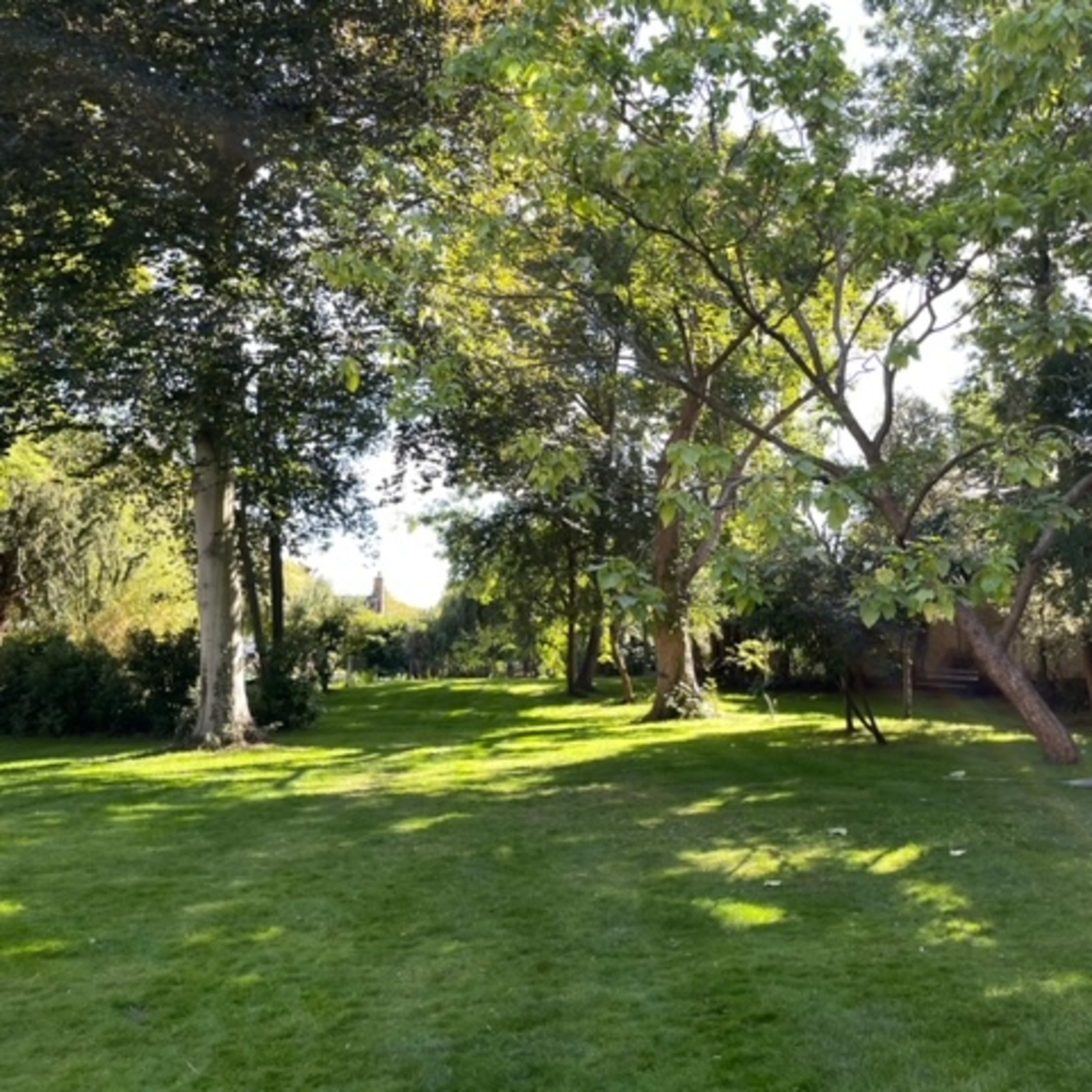 A sunlit garden with lush green grass and several trees scattered throughout.