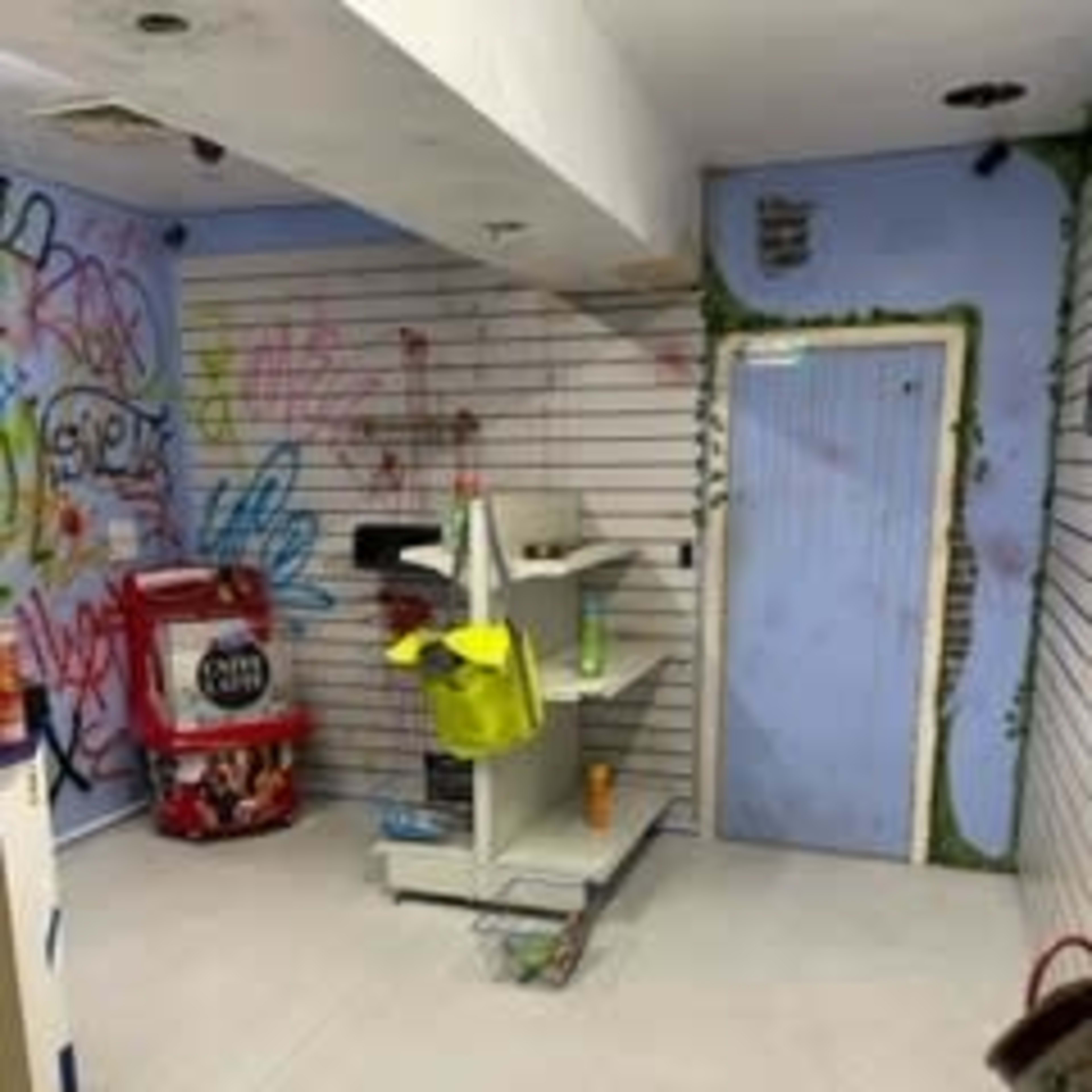 A small room with painted murals on the walls, featuring shelves and a door at the far end.