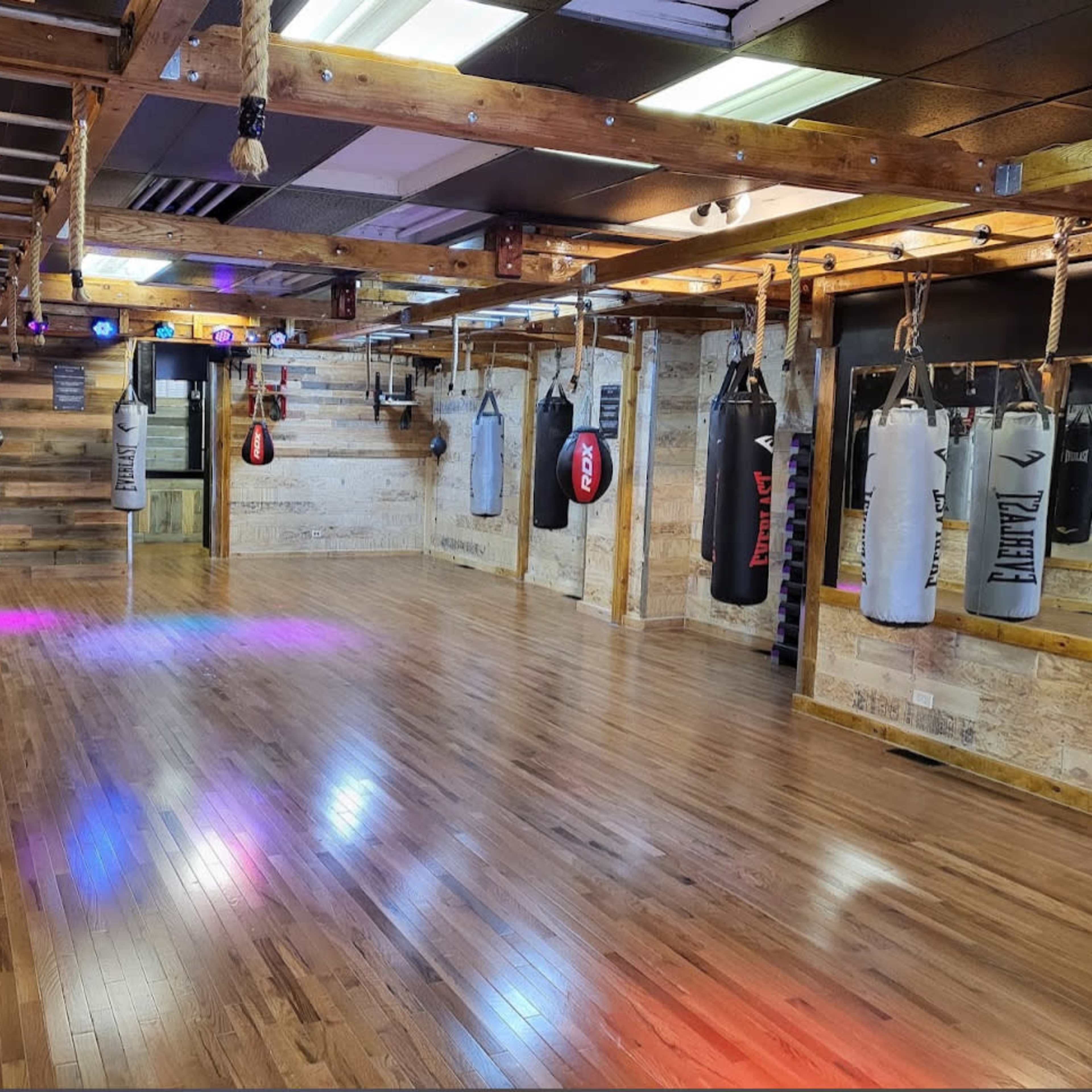 Dynamic Fitness Studio w/ Boxing, Monkey Bars & Disco Lights – Your Workout, Your Way! Image in Austin, Chicago, IL