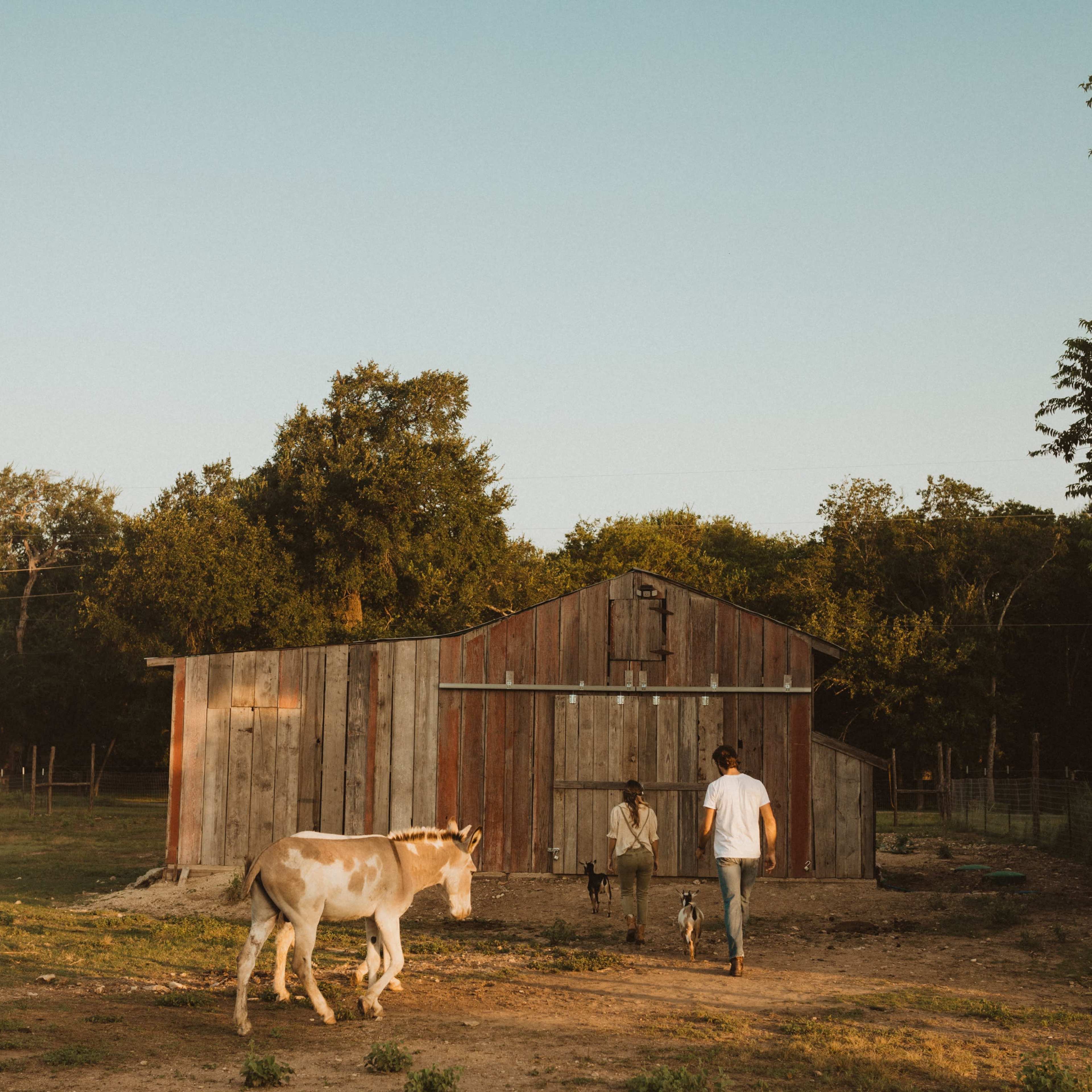 A person and a child walk towards a rustic barn while a dog and a horse are in the foreground.