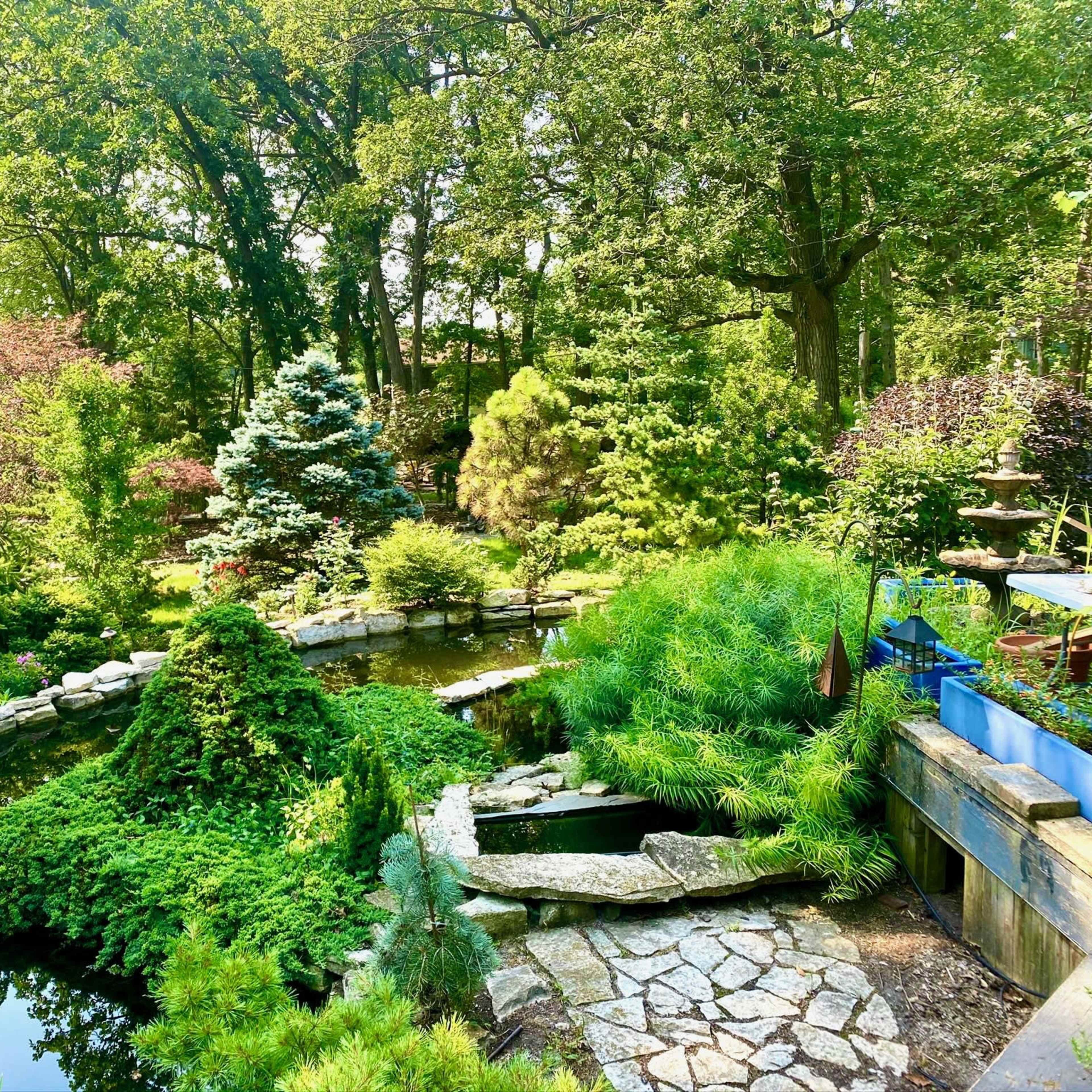 A lush garden featuring various plants, trees, and a pond surrounded by stone pathways.