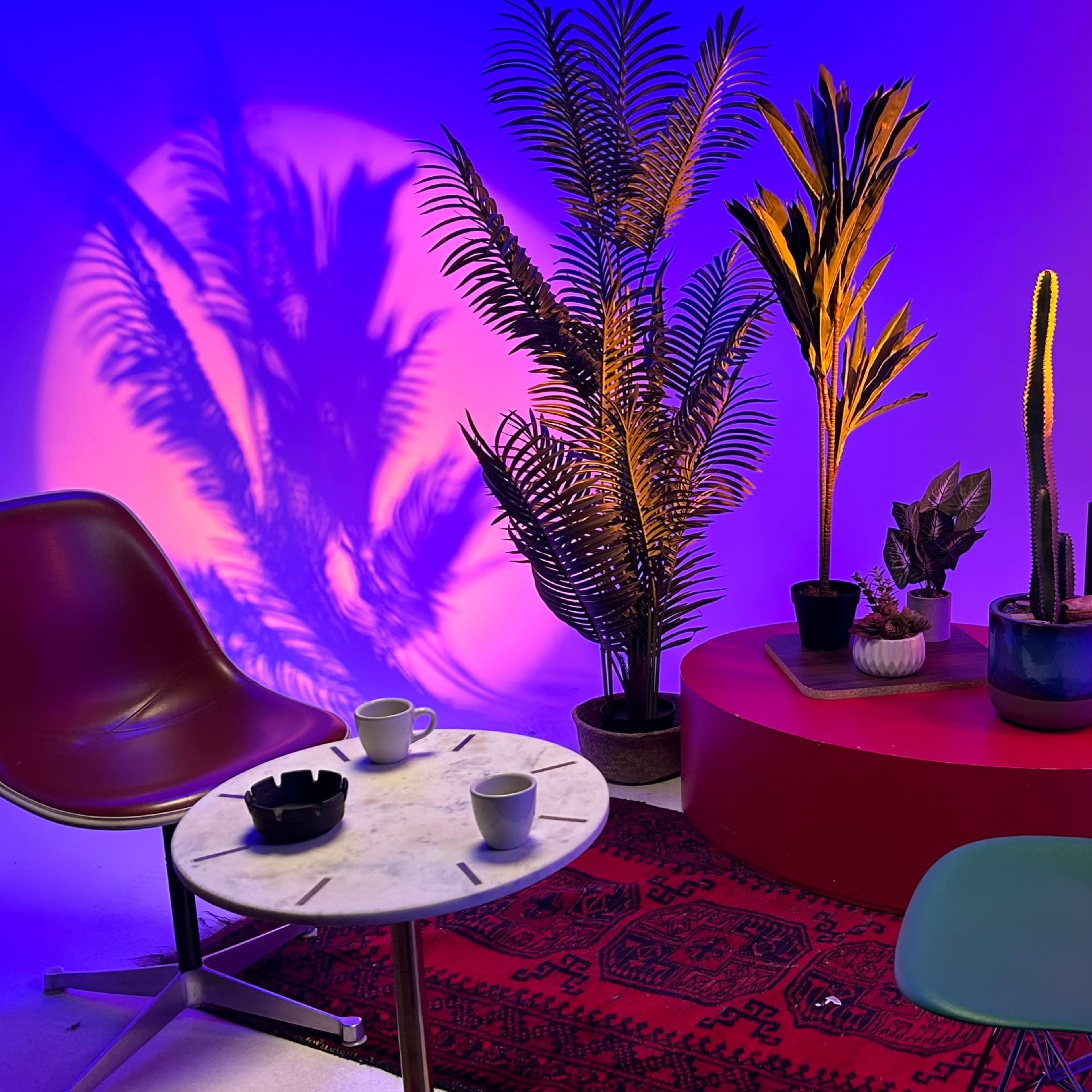 Pre-Lit Photo/Video Studio with Cyc Wall & RGB Lighting | Central Austin Image in Highland, Austin, TX