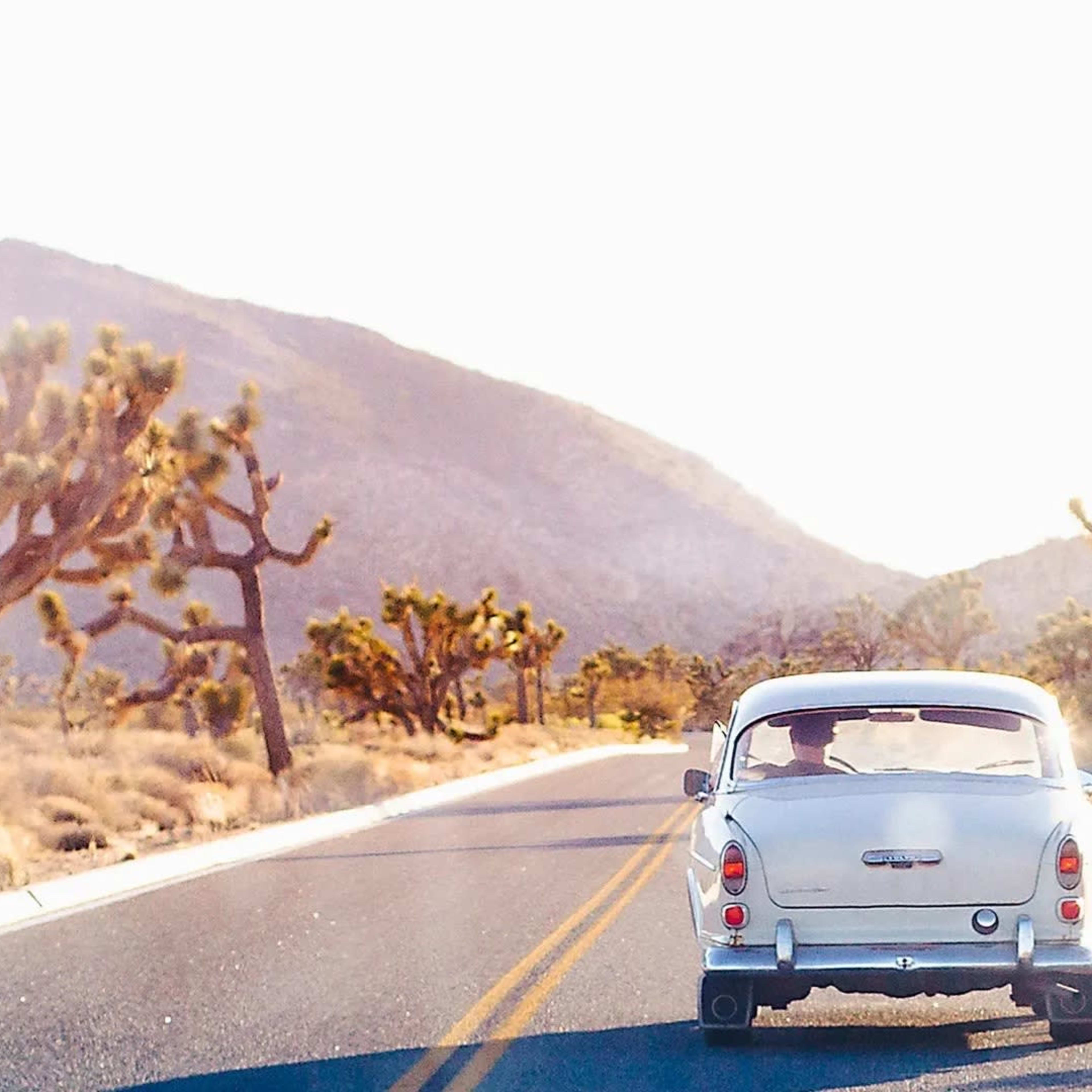 A vintage car drives down a winding road surrounded by desert landscape and Joshua trees under bright sunlight.