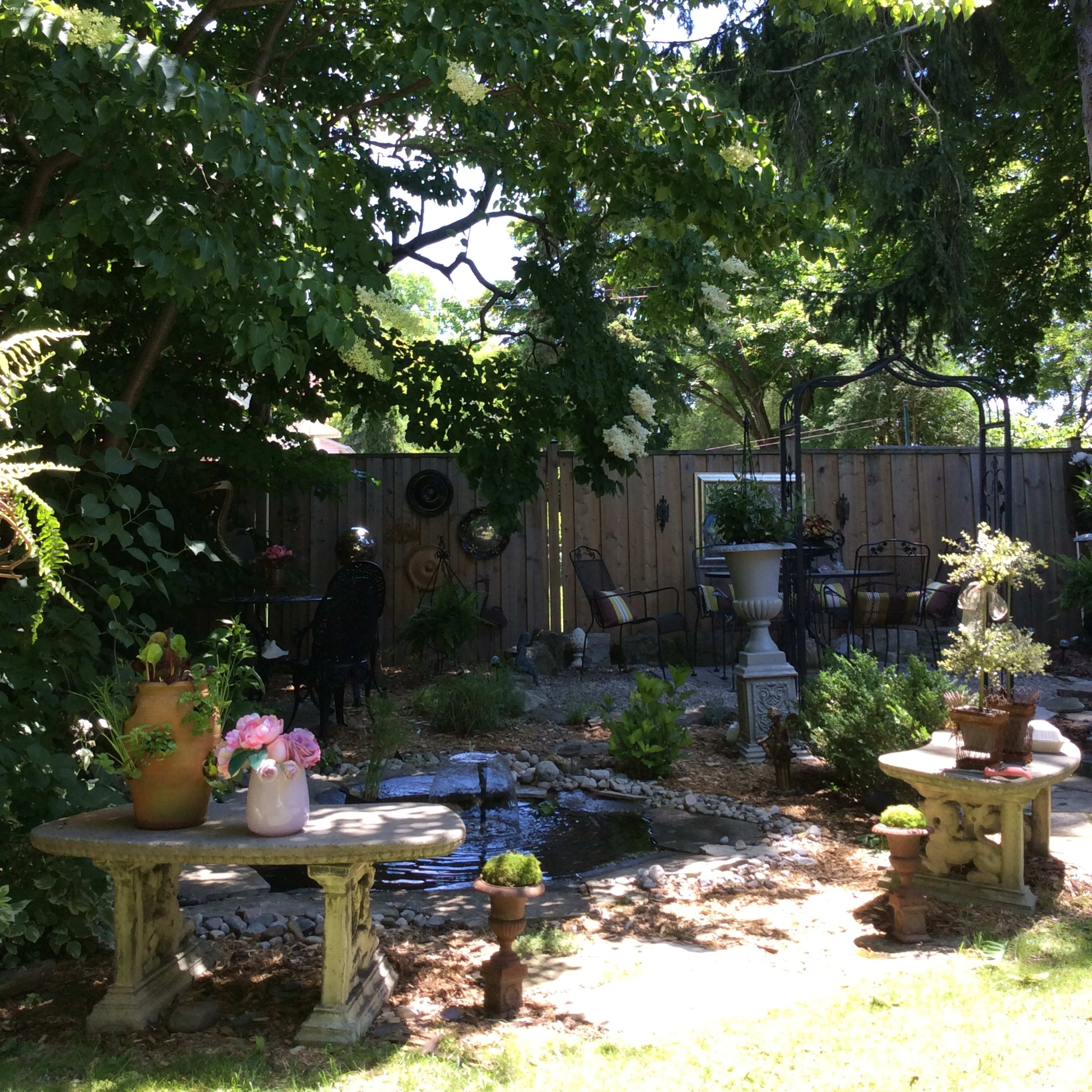 A garden with benches, a small pond, and various plants under a canopy of trees.