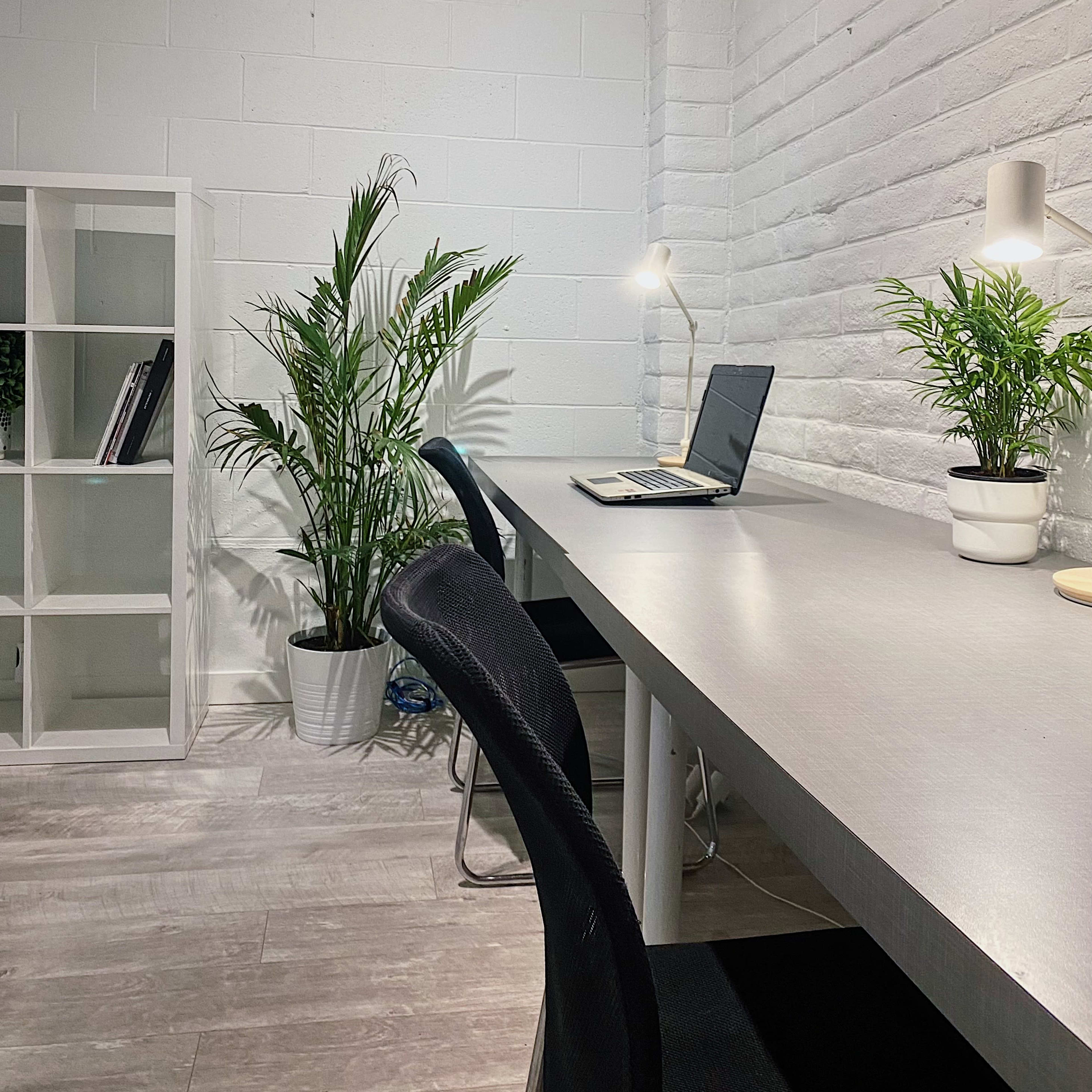 A modern workspace featuring a desk with a laptop, a chair, and a bookshelf, along with two potted plants against a white wall.