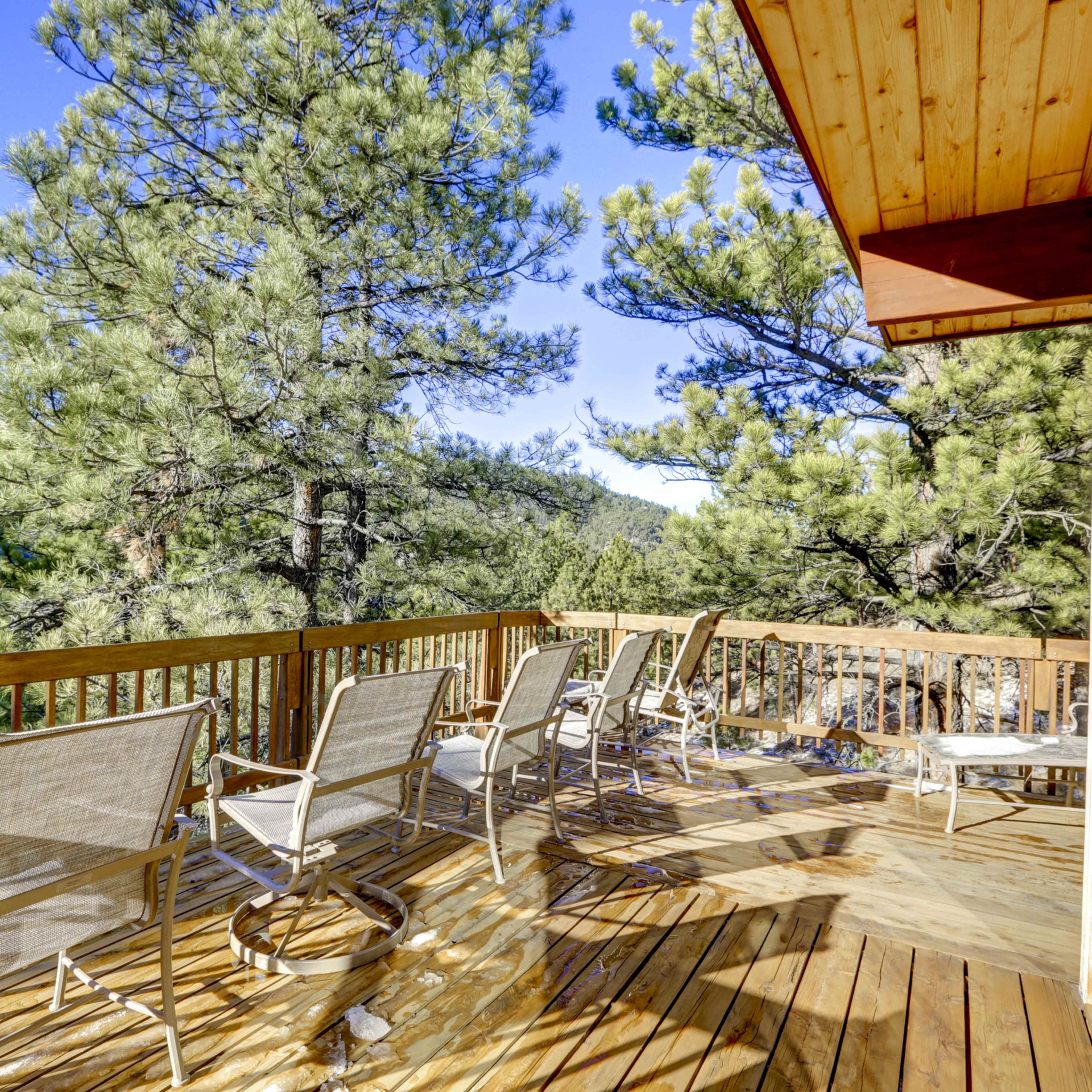 A wooden deck with several metal-framed chairs overlooks a pine forest under a clear blue sky.