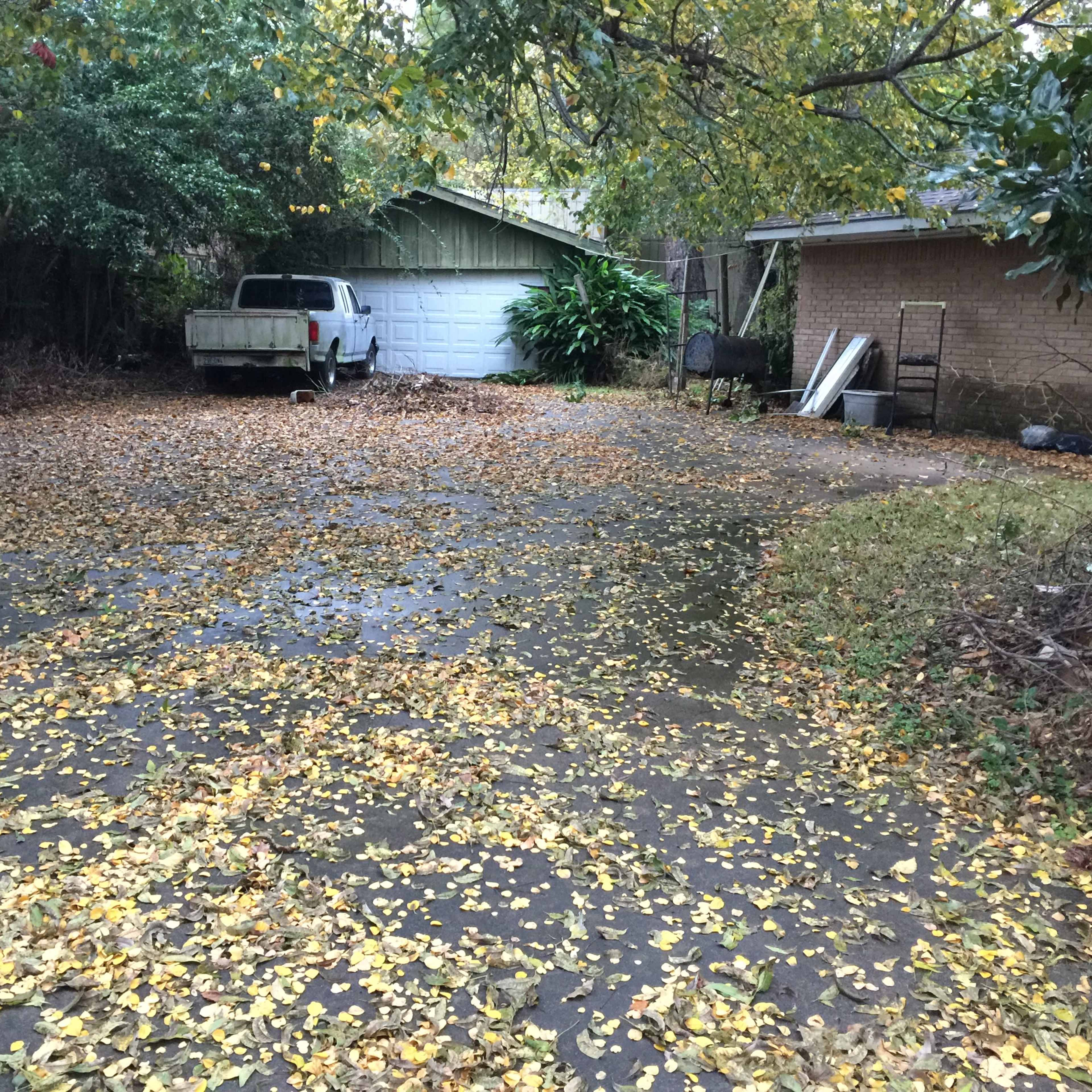 A driveway covered in fallen yellow leaves leads to a white pickup truck parked near a garage.