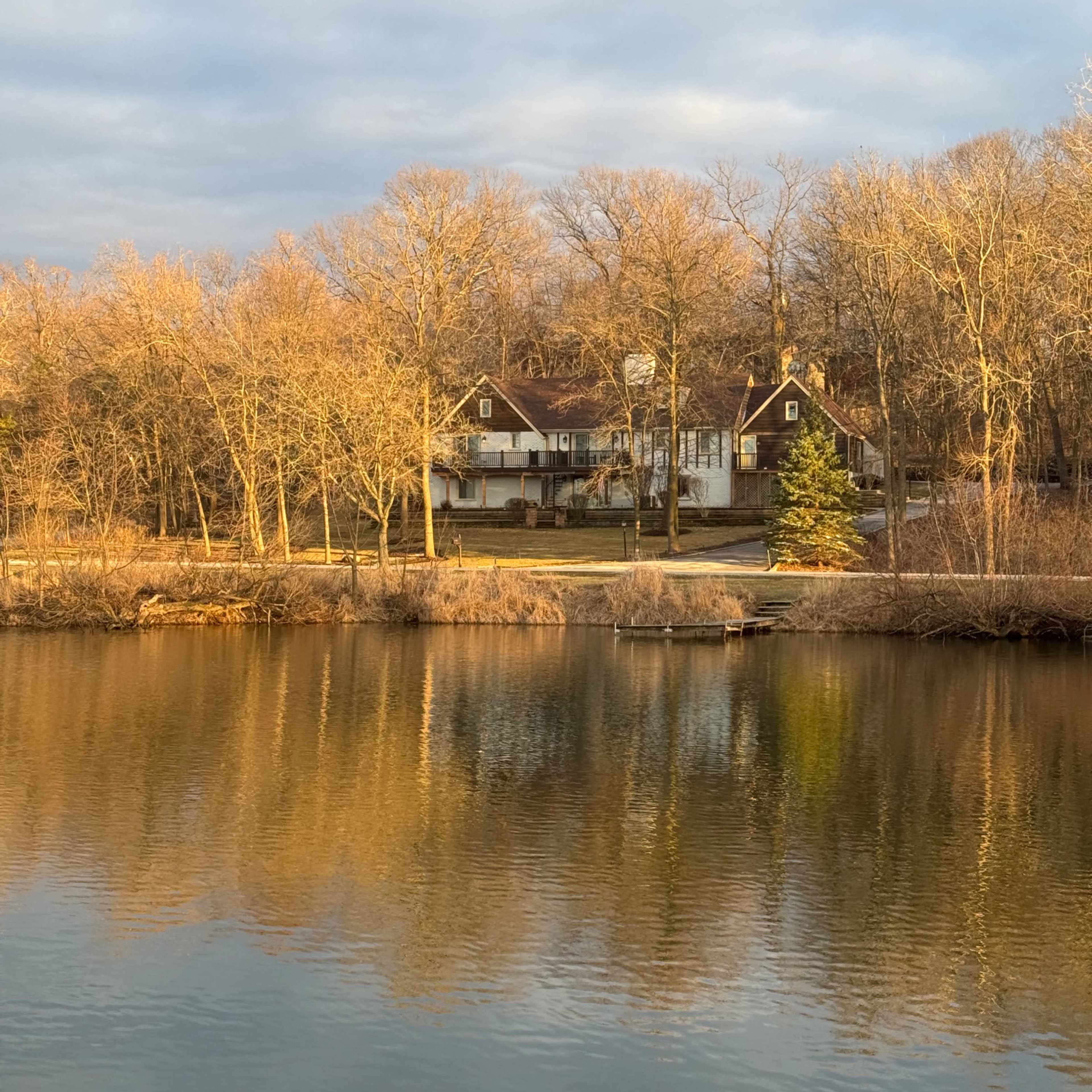 Wooded Estate Lakeside Image in Homer Township, Homer Glen, IL