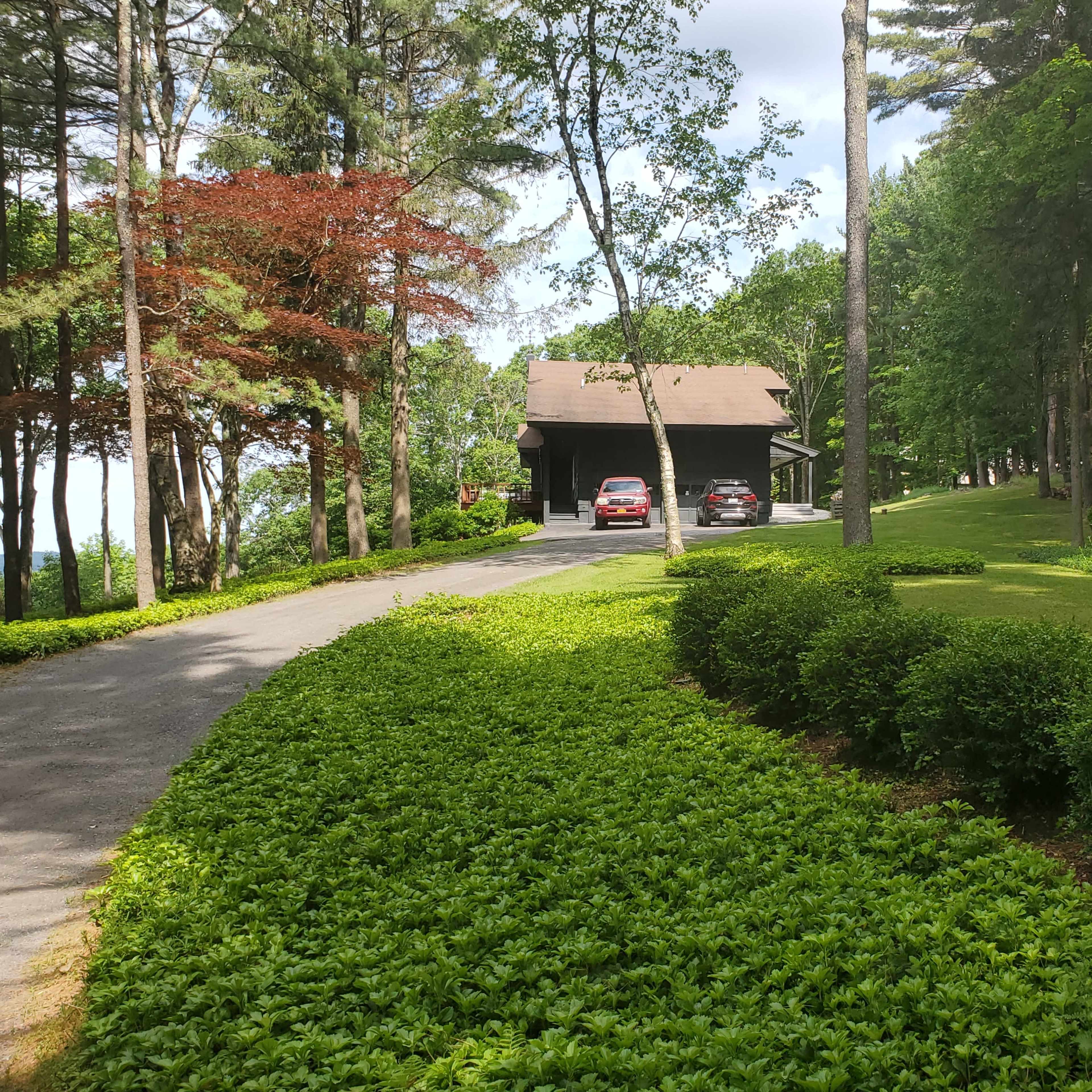 A winding driveway leads to a wooden cabin surrounded by trees and neatly trimmed shrubs.