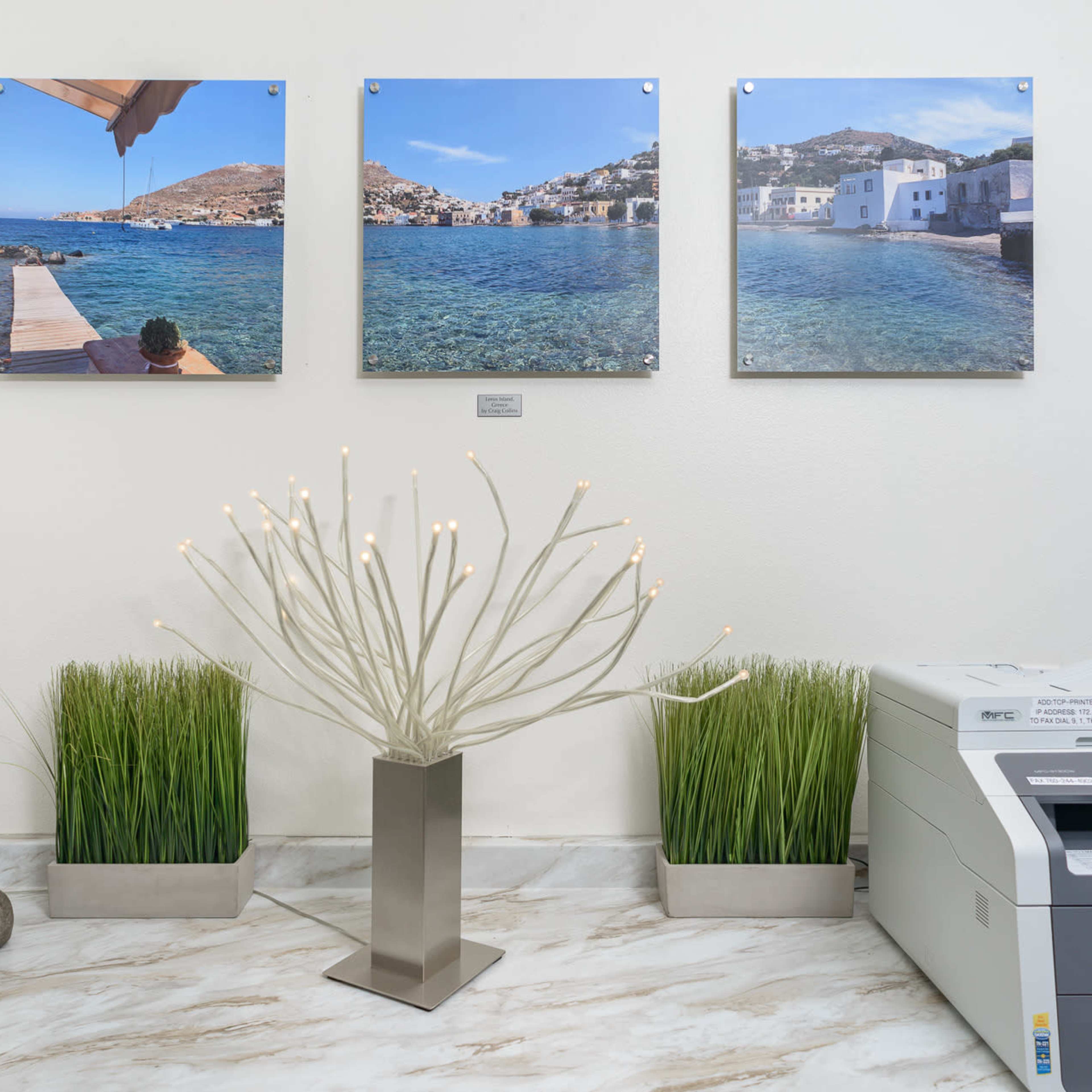 A corner of a room with three landscape photos on the wall, a decorative plant arrangement in a metal vase, a statue of Buddha, and a printer.