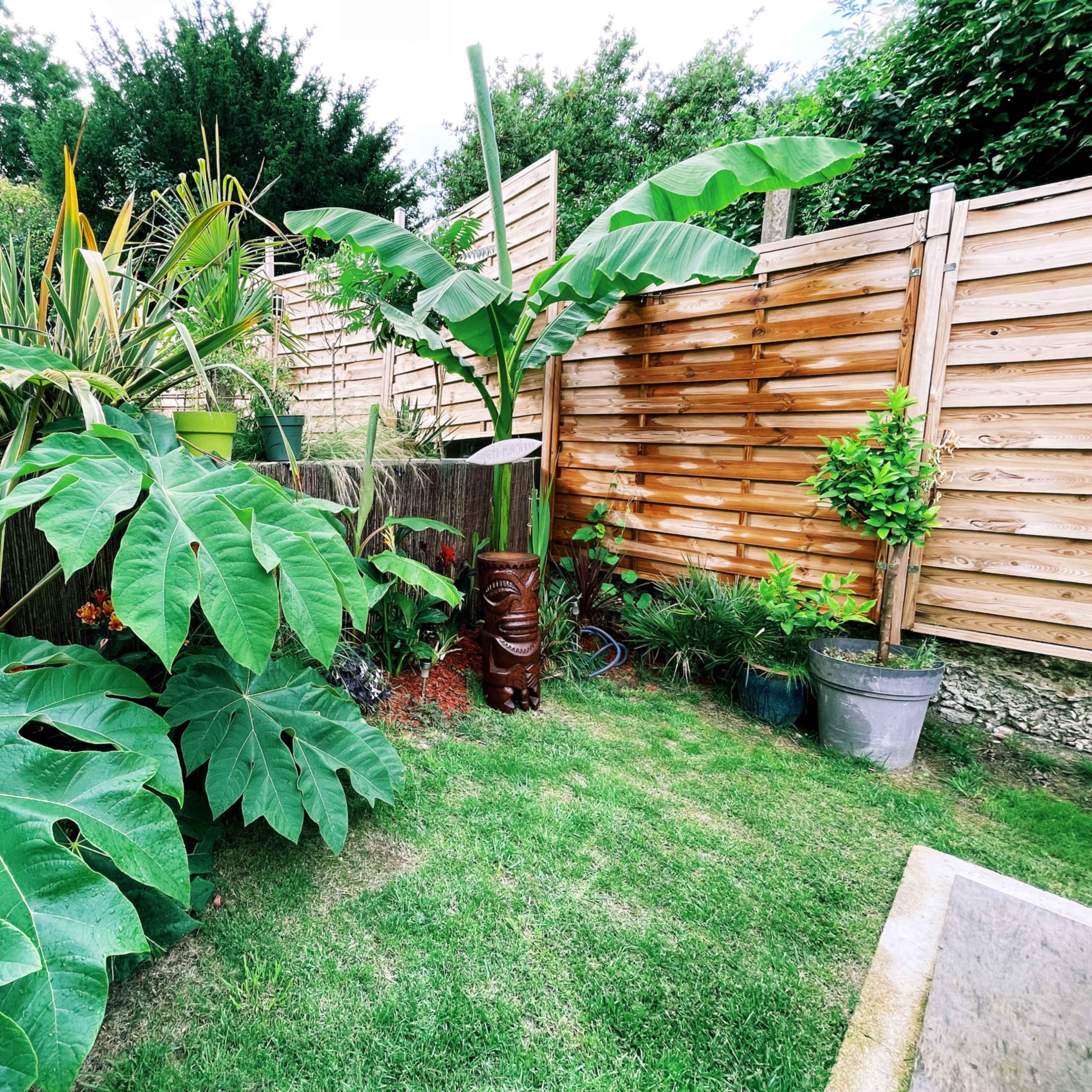 A lush garden features large green leaves, a wooden tiki statue, and a variety of plants surrounded by wooden fencing.