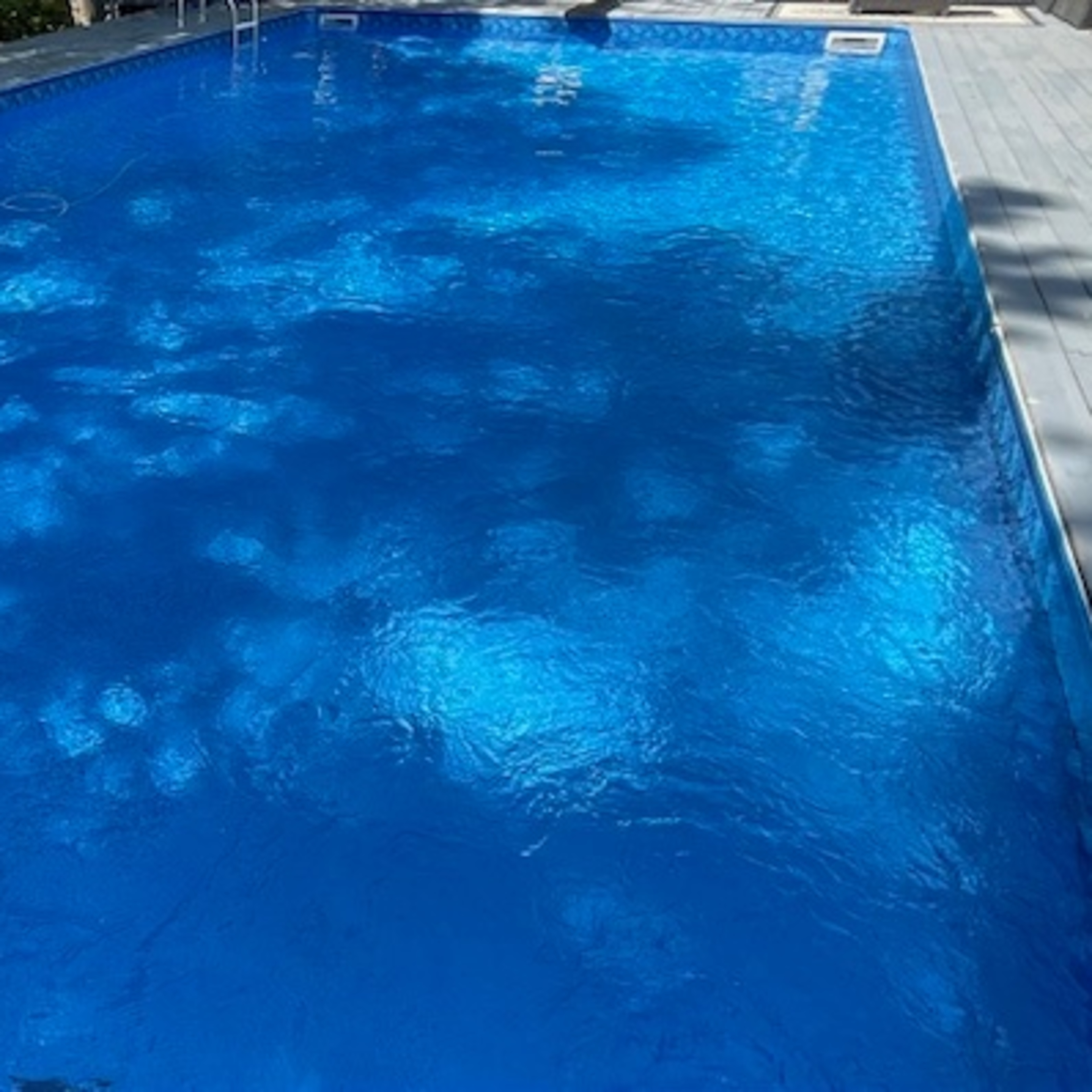 A clear, blue swimming pool surrounded by trees and shaded areas.