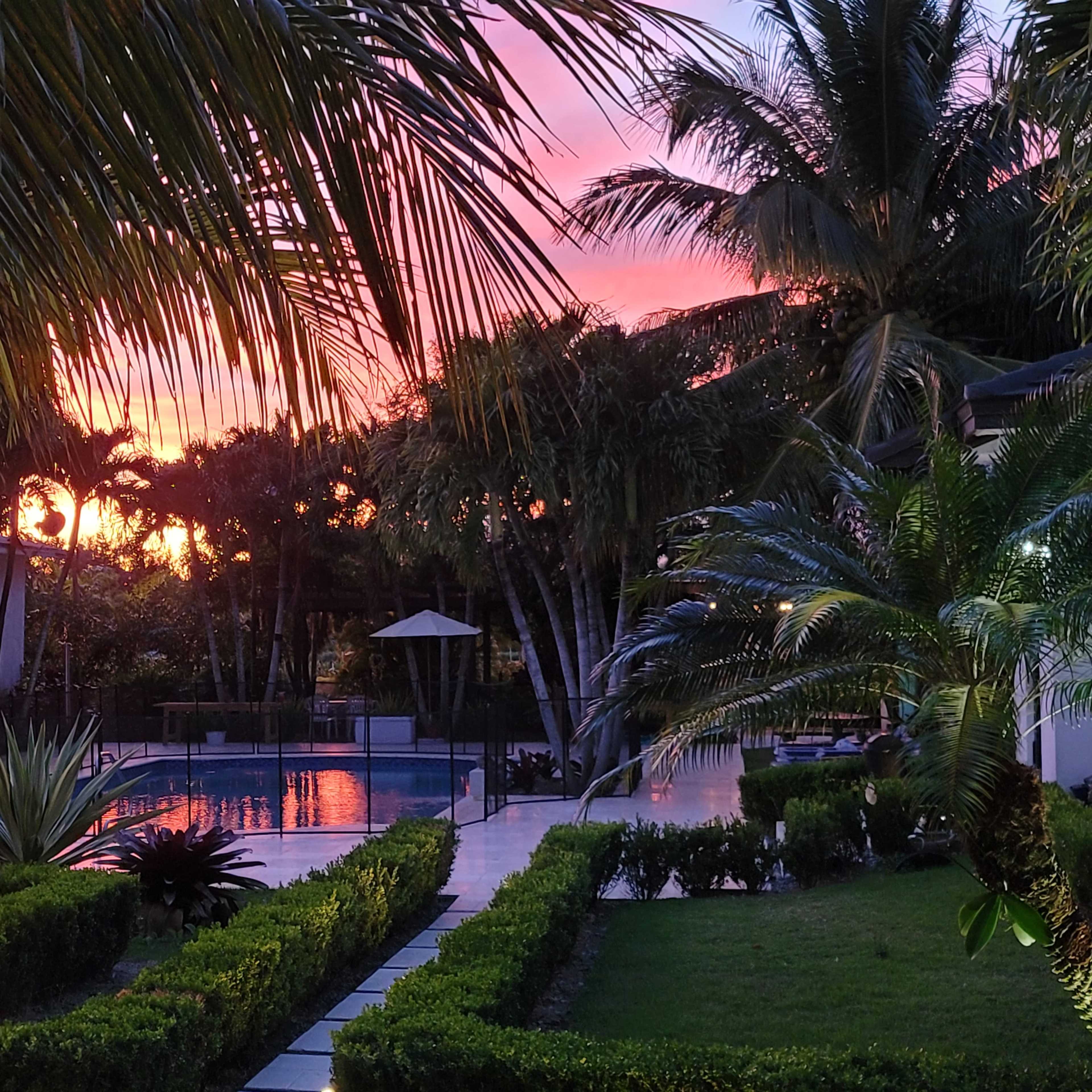 A pool area is surrounded by palm trees and greenery, with a sunset casting a pink hue in the sky.