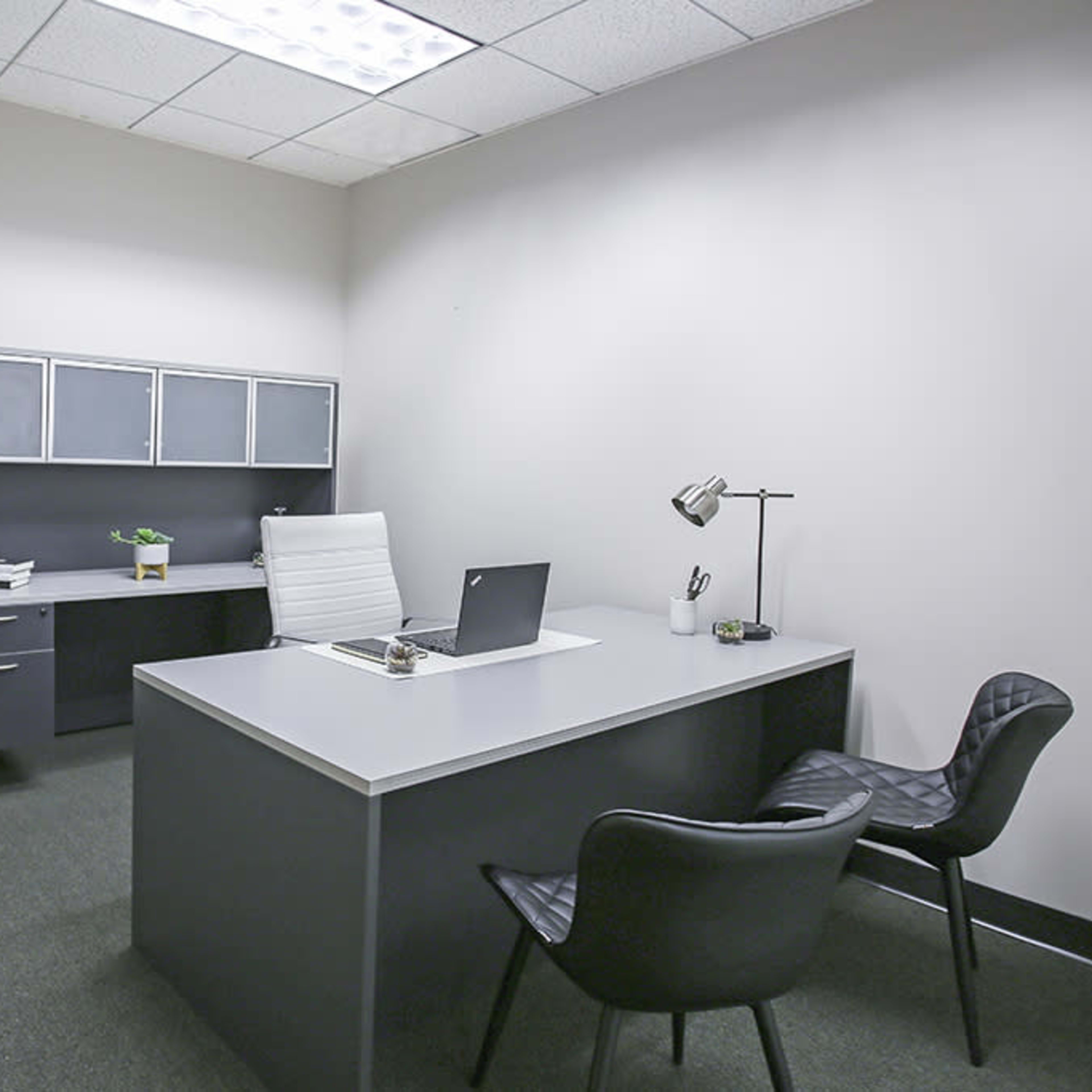 A minimalistic office space featuring a large desk, a chair, a filing cabinet, and a potted plant.