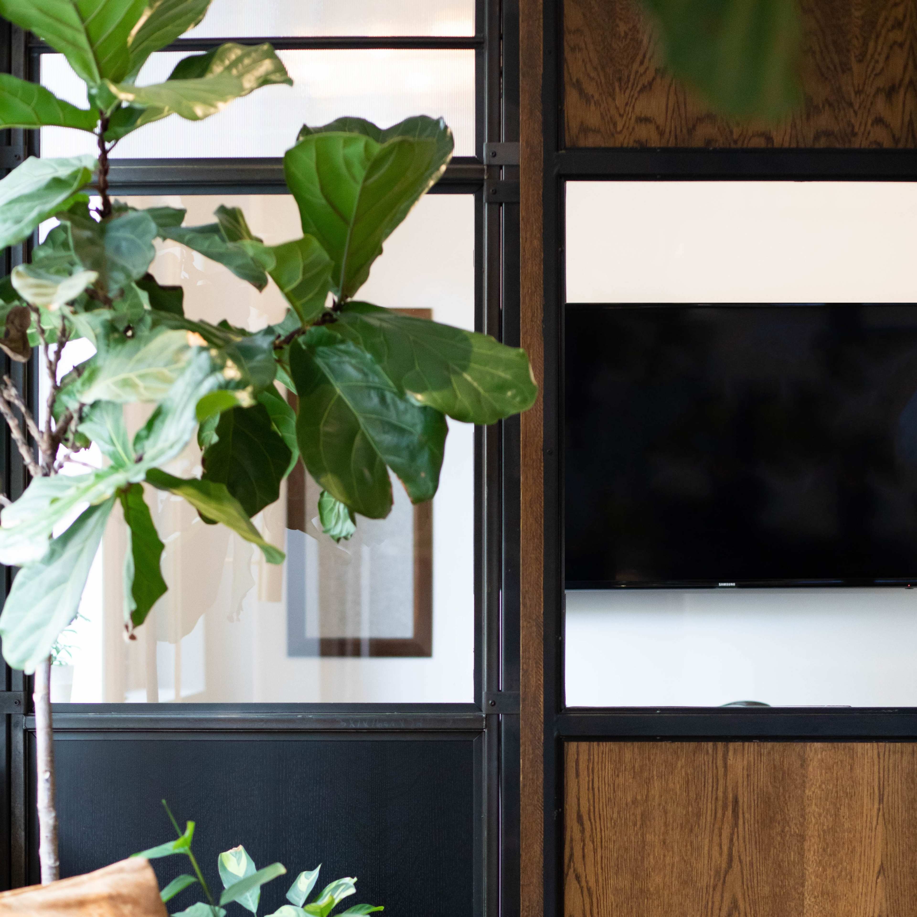 A modern living space with a brown leather chair, a large plant, and a wall-mounted television beside wooden panels.