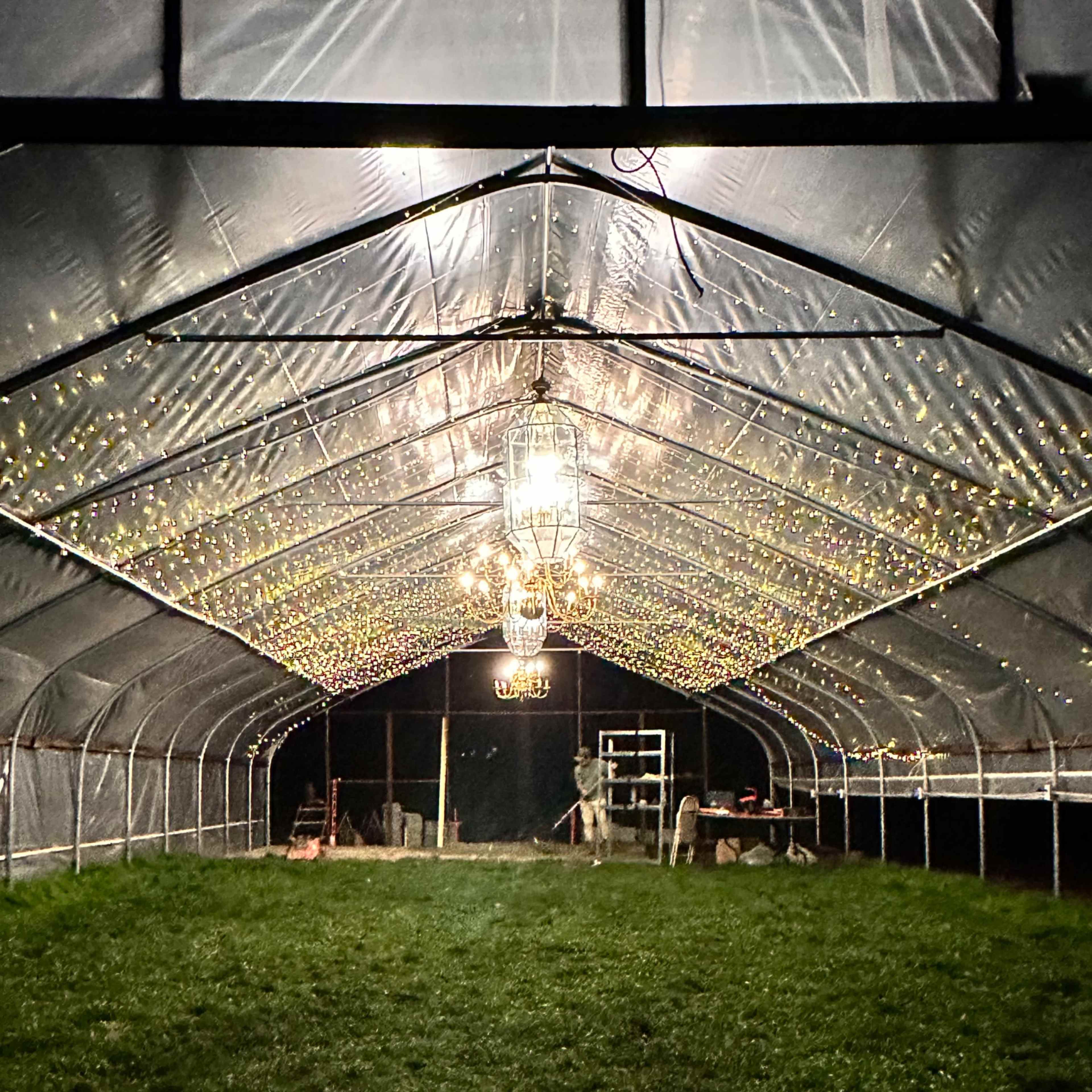 Illuminating countryside, greenhouse Image in , Tuskegee, AL