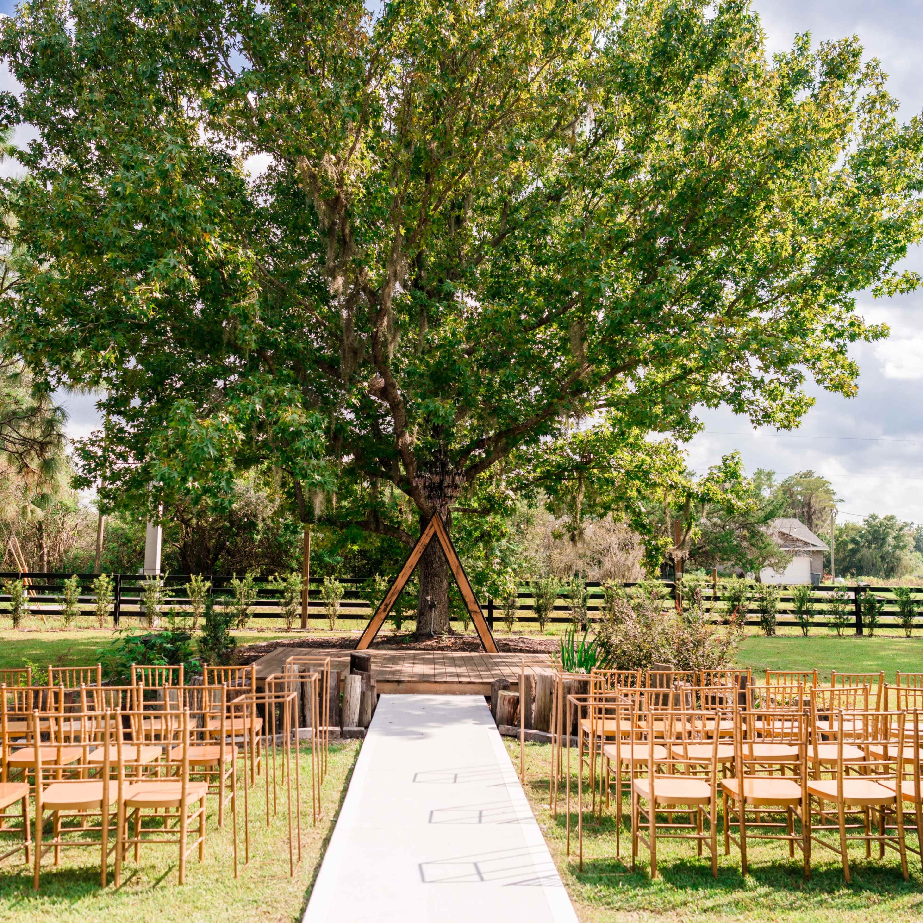 A ceremony site features rows of golden chairs arranged facing a white aisle, leading to a large tree in a grassy area.