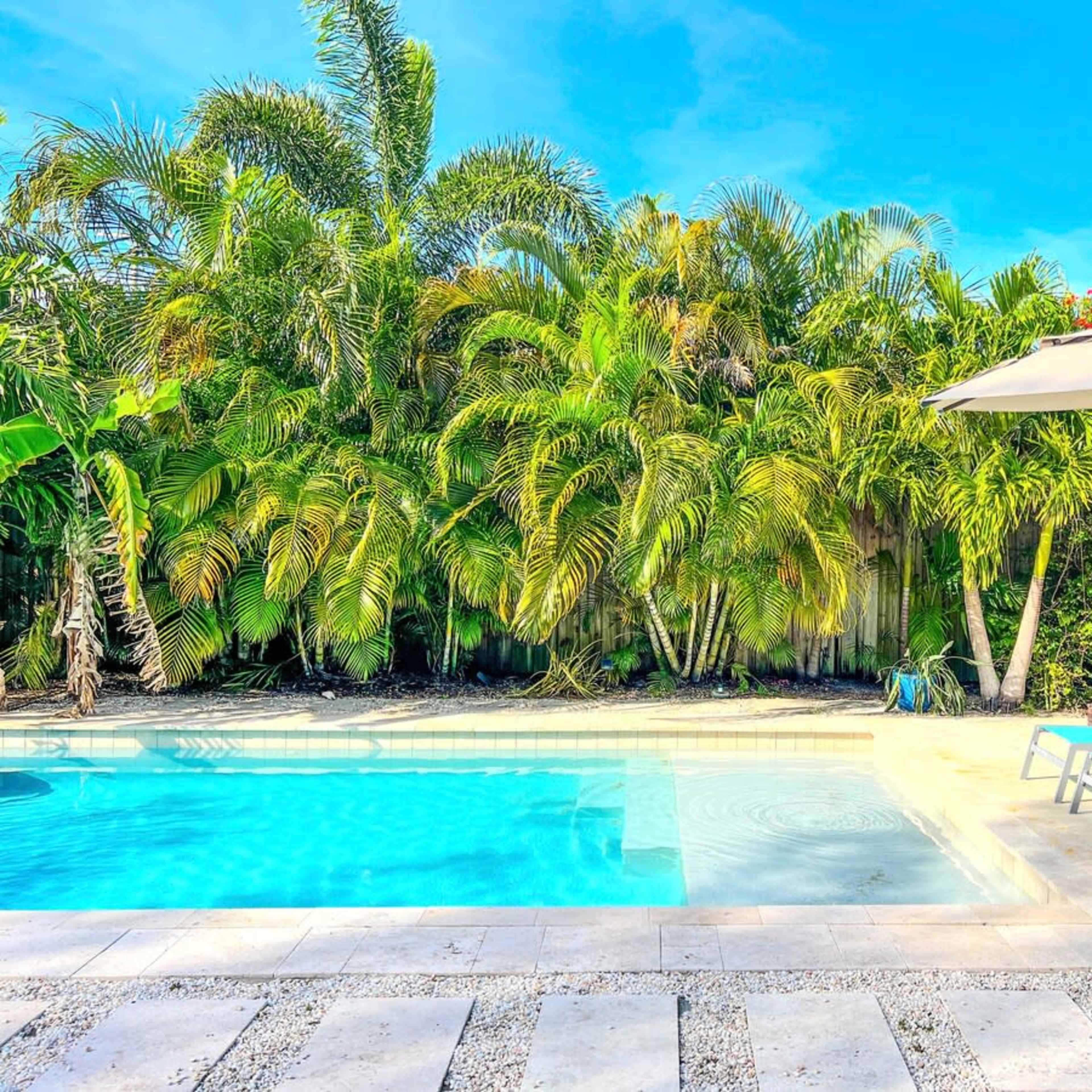 A clear swimming pool is surrounded by lush palm trees and two blue lounge chairs next to a beige umbrella.