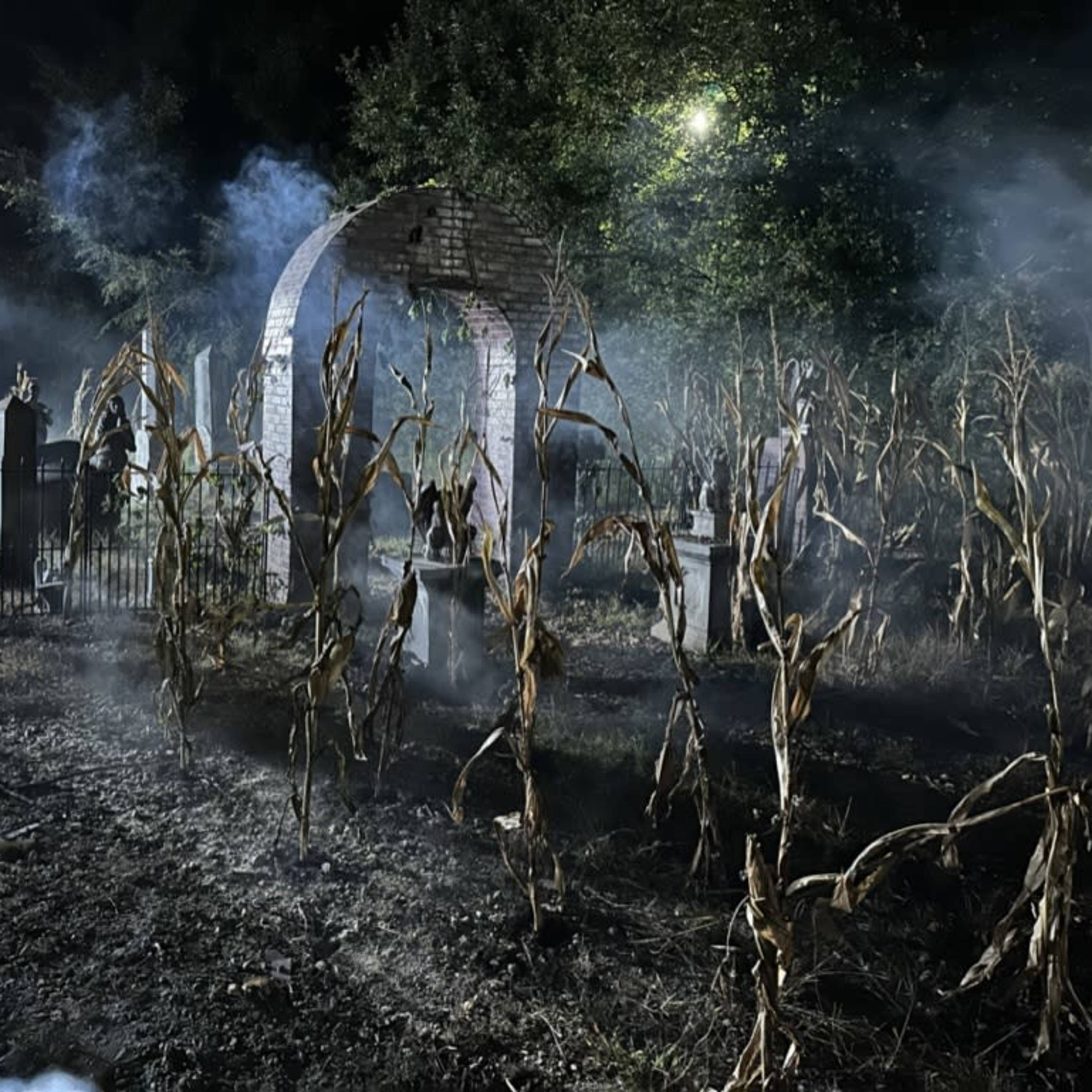 The scene features a dark, foggy area of a cornfield with tall, dry corn stalks surrounding a partially hidden archway and a gate, illuminated by dim lights.