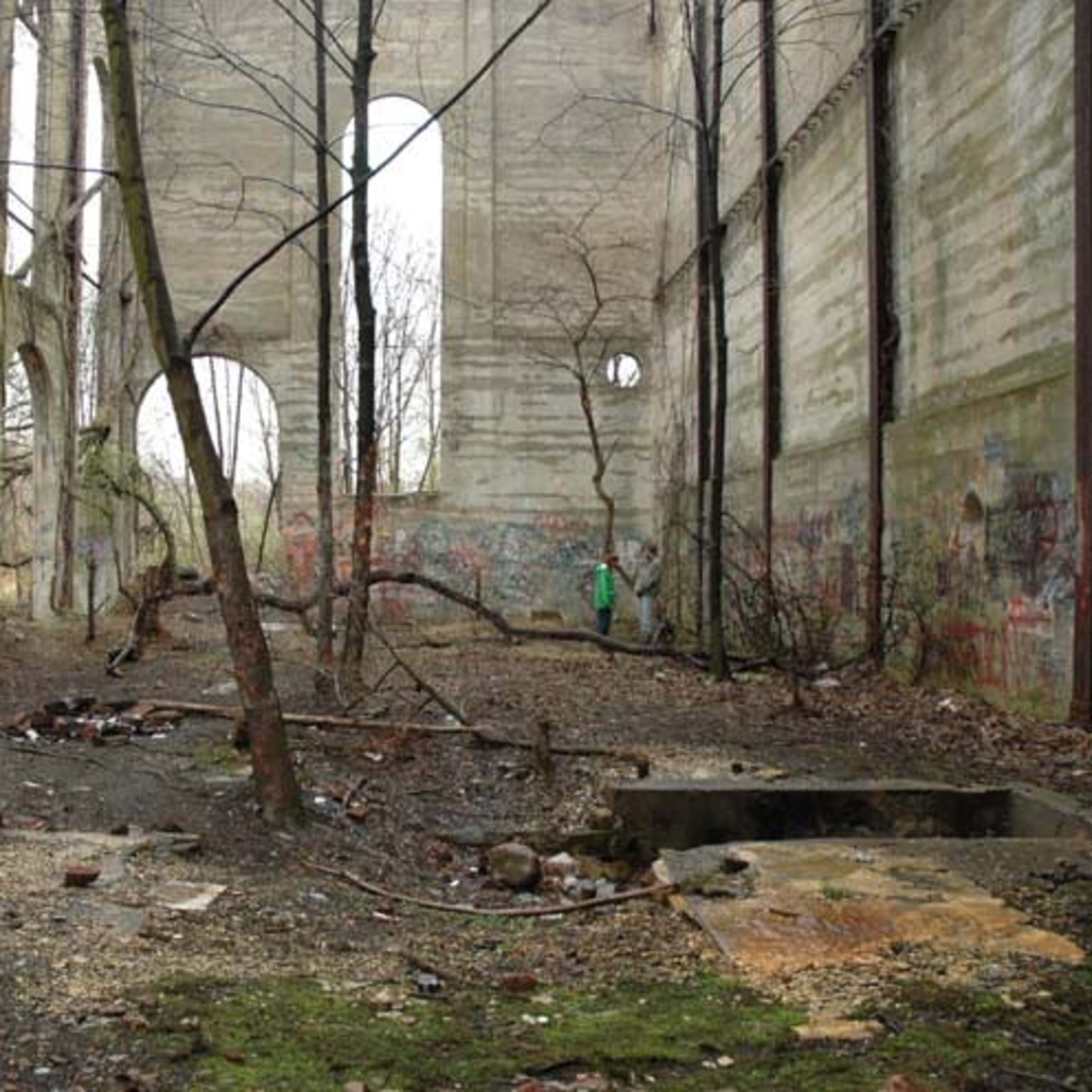 The interior of a dilapidated building with bare walls, overgrown trees, and graffiti.