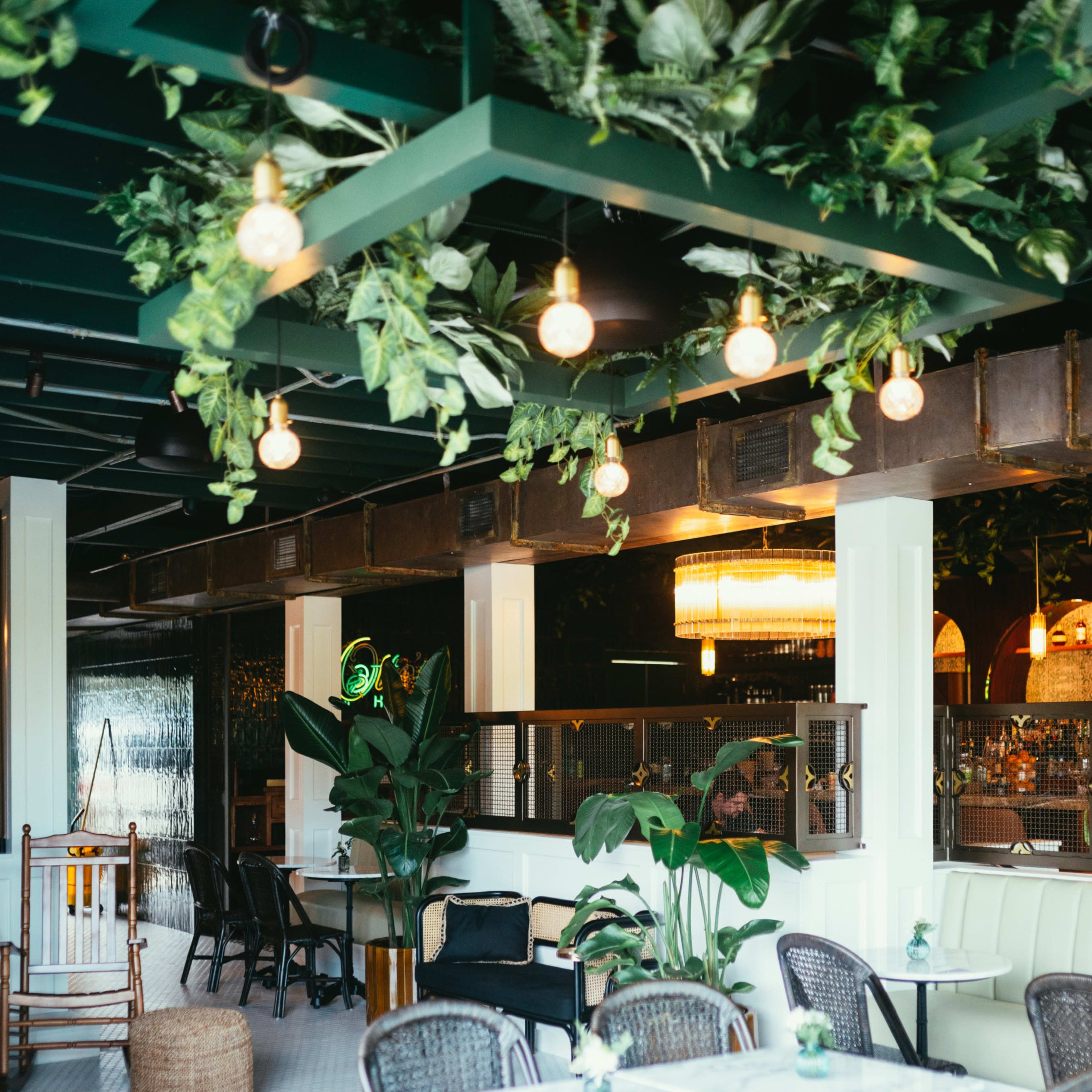 A modern café interior with decorative plants, woven chairs, and pendant lighting.