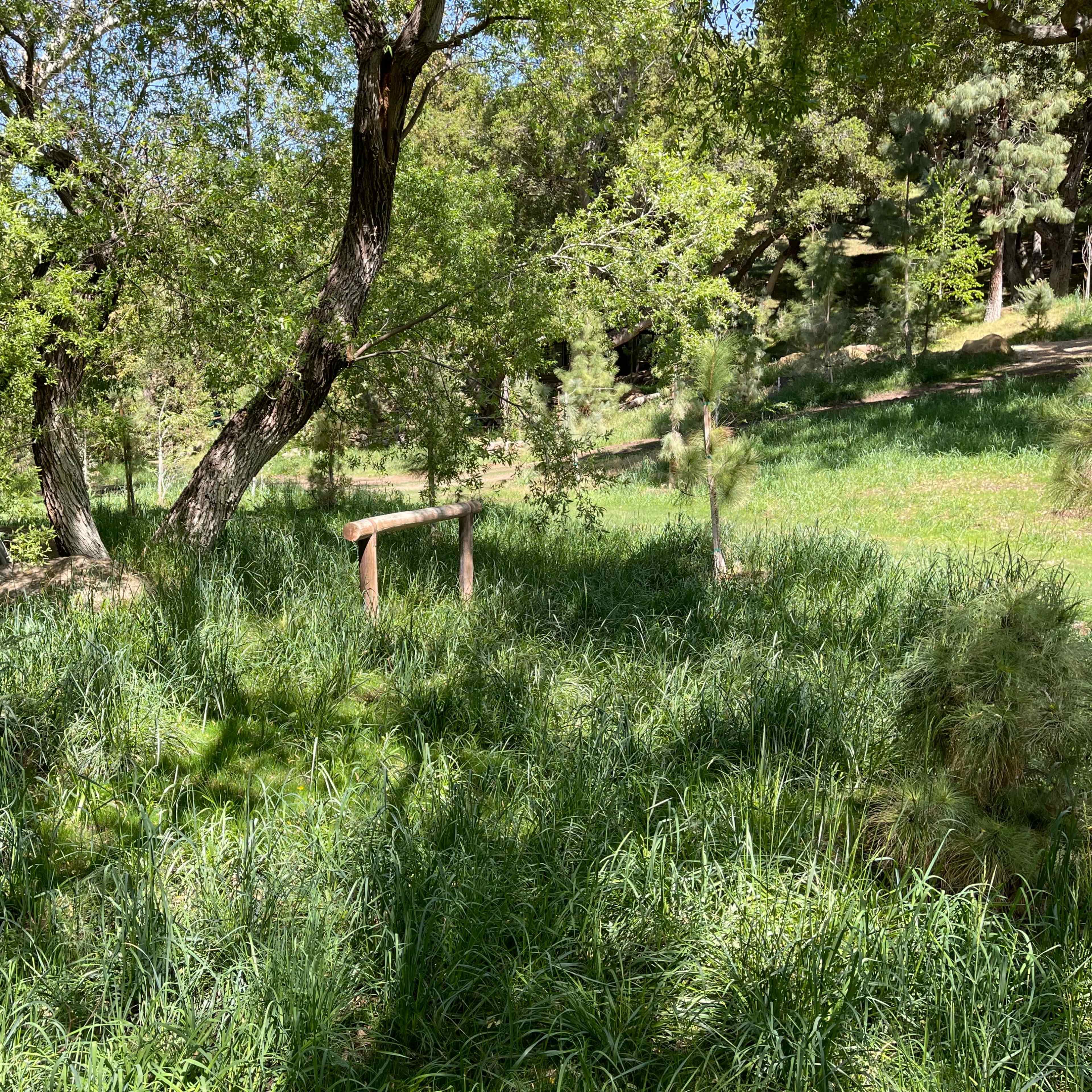 A grassy area in a wooded landscape with a wooden structure and trees surrounding it.