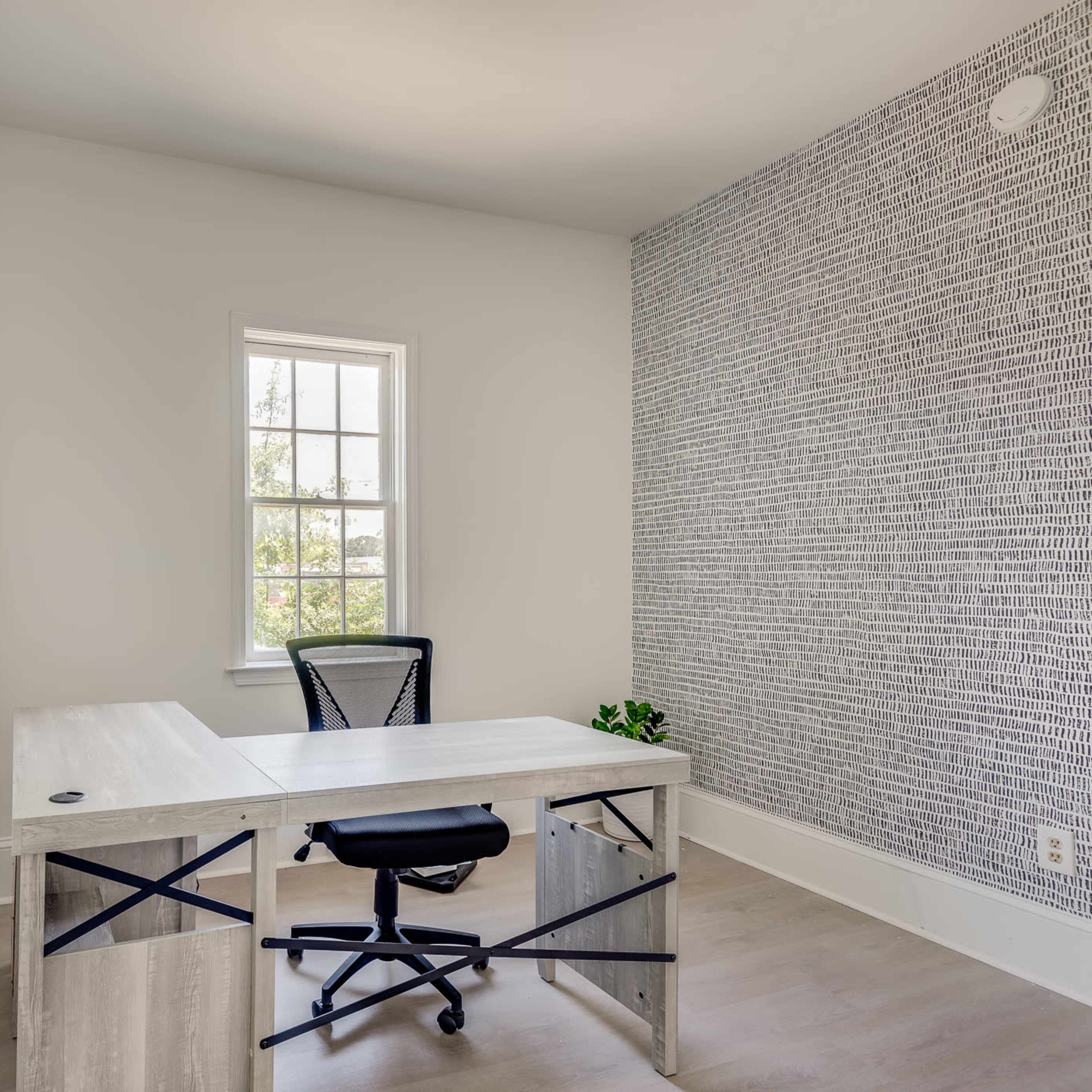A minimalist office space features a desk with a black chair and a small plant near a window.