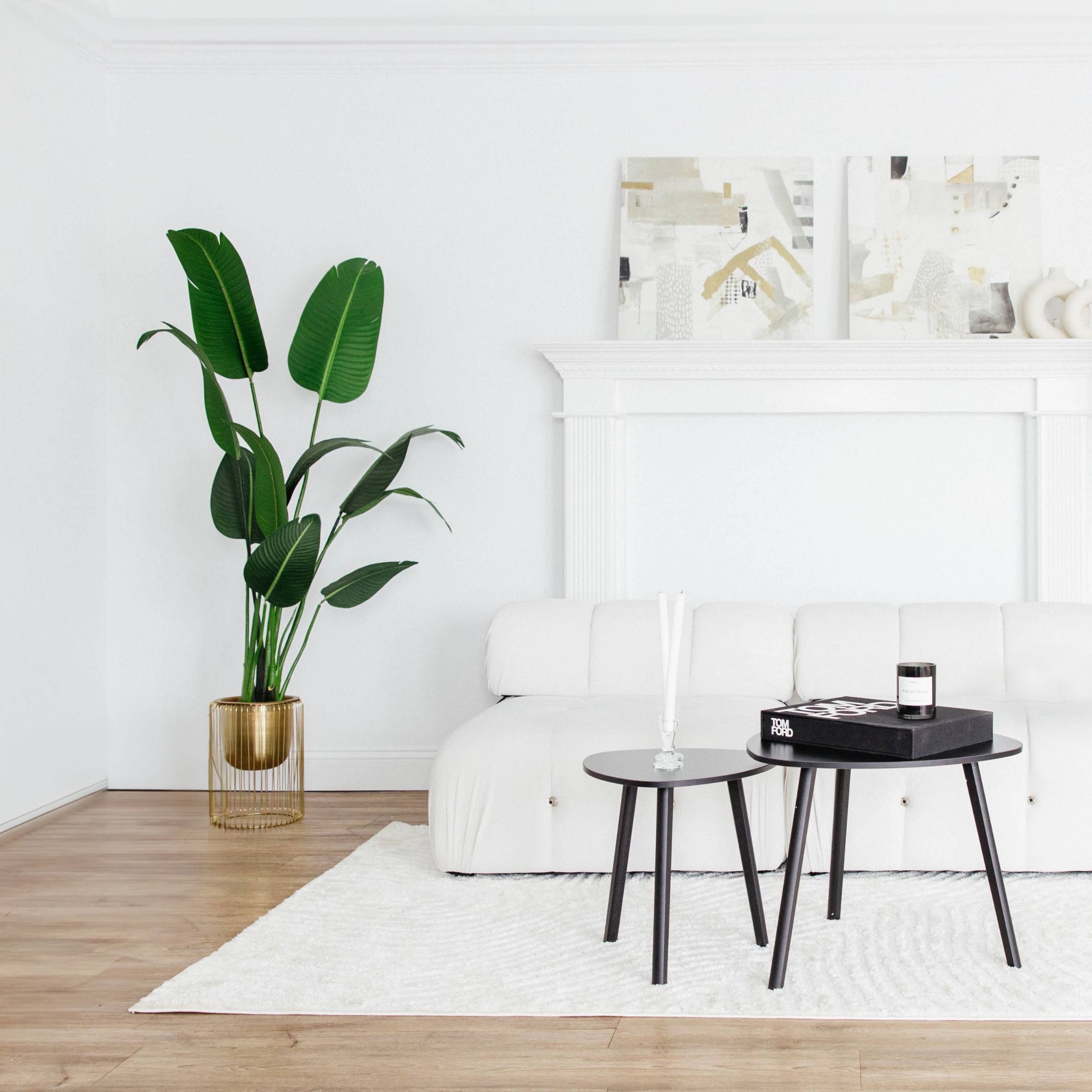 A modern living room features a white sofa, a black coffee table, and a large potted plant, with abstract artwork and decorative items on display.