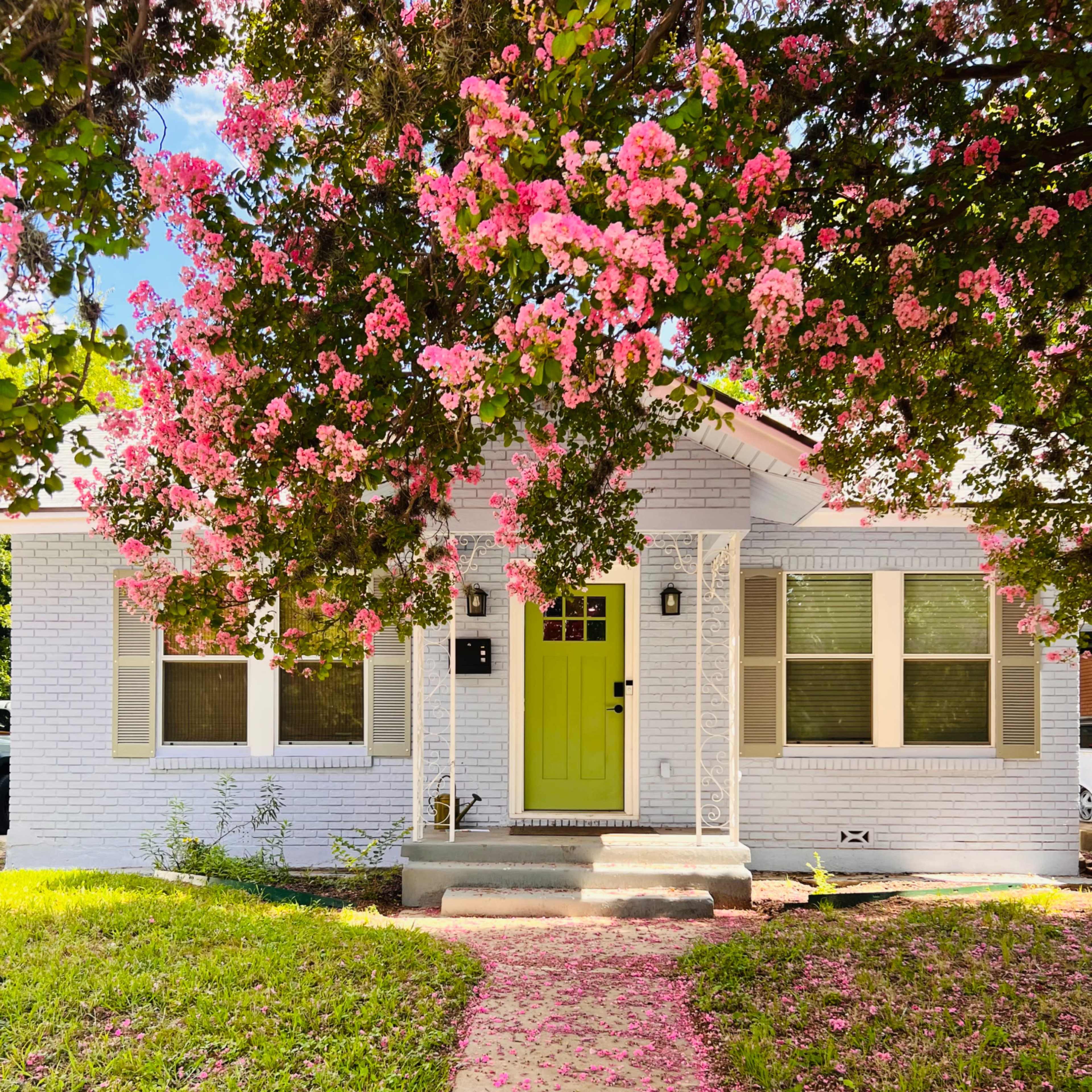 A white house with a bright green door is framed by a tree blooming with pink flowers, and a path lined with fallen petals leads to the entrance.
