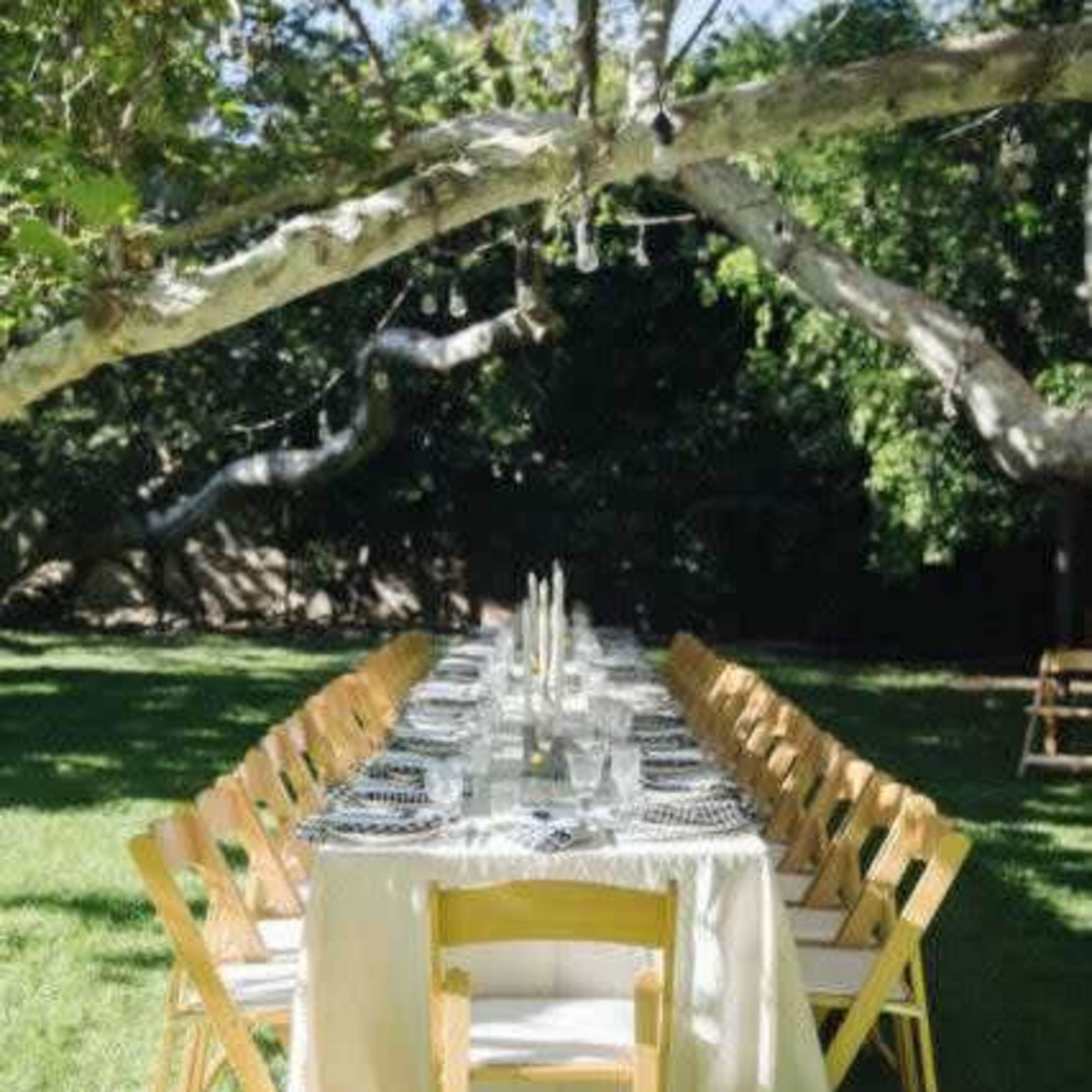 A long table is set outdoors under a large tree, surrounded by wooden chairs and a lush green lawn.