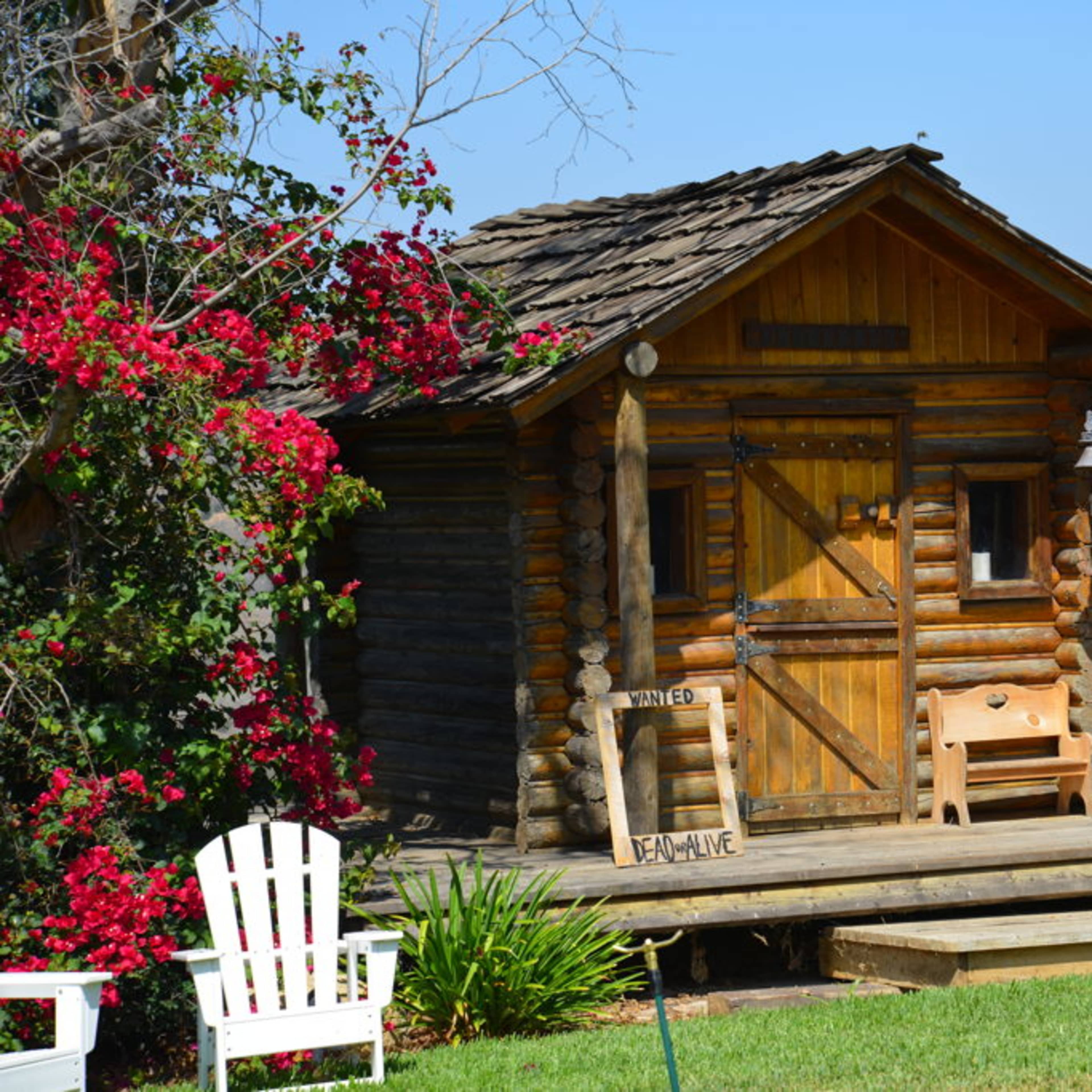 A rustic wooden cabin surrounded by vibrant flowering plants and greenery.