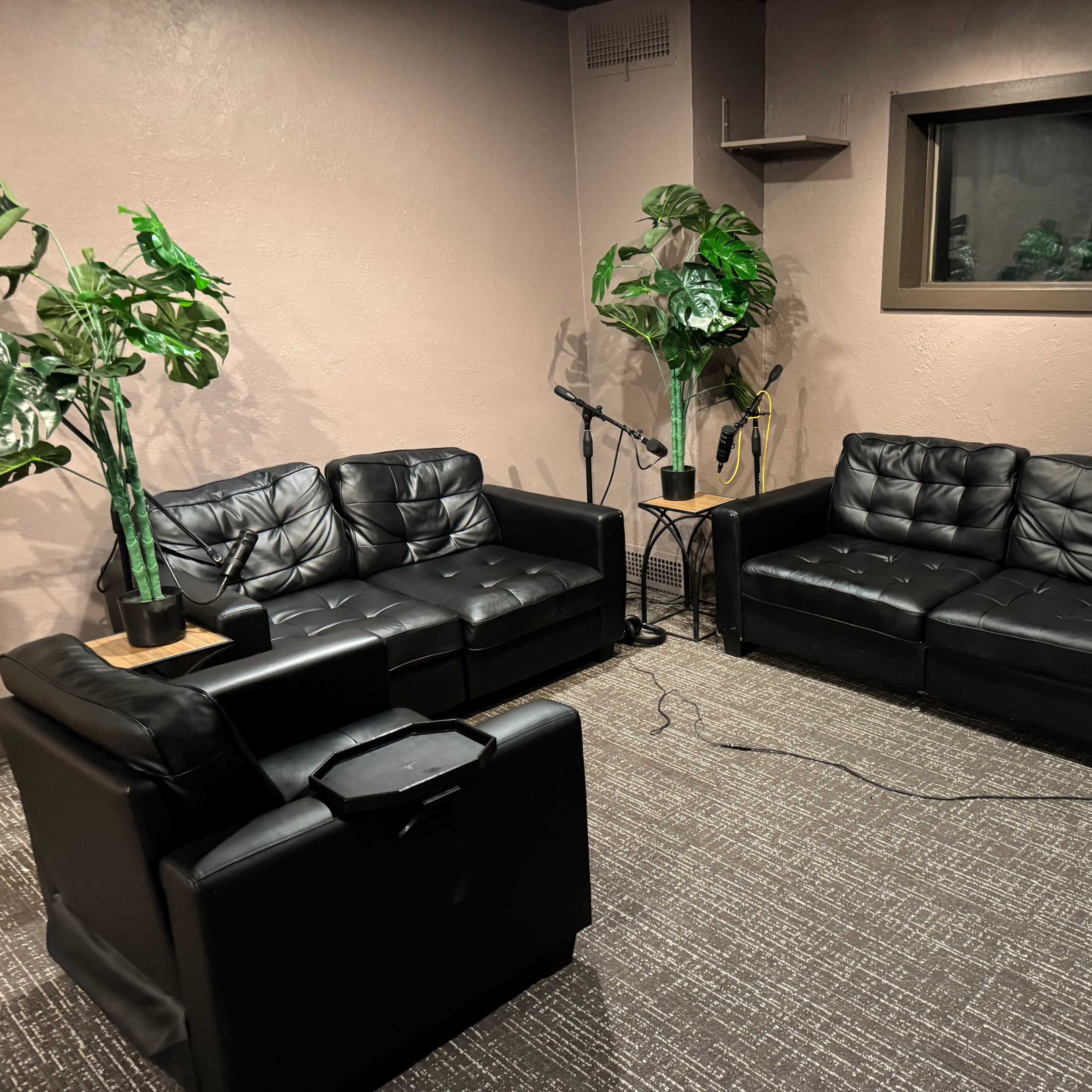 Professional podcast studio set up for both audio and video with engineer on site Image in East English Village, Detroit, MI