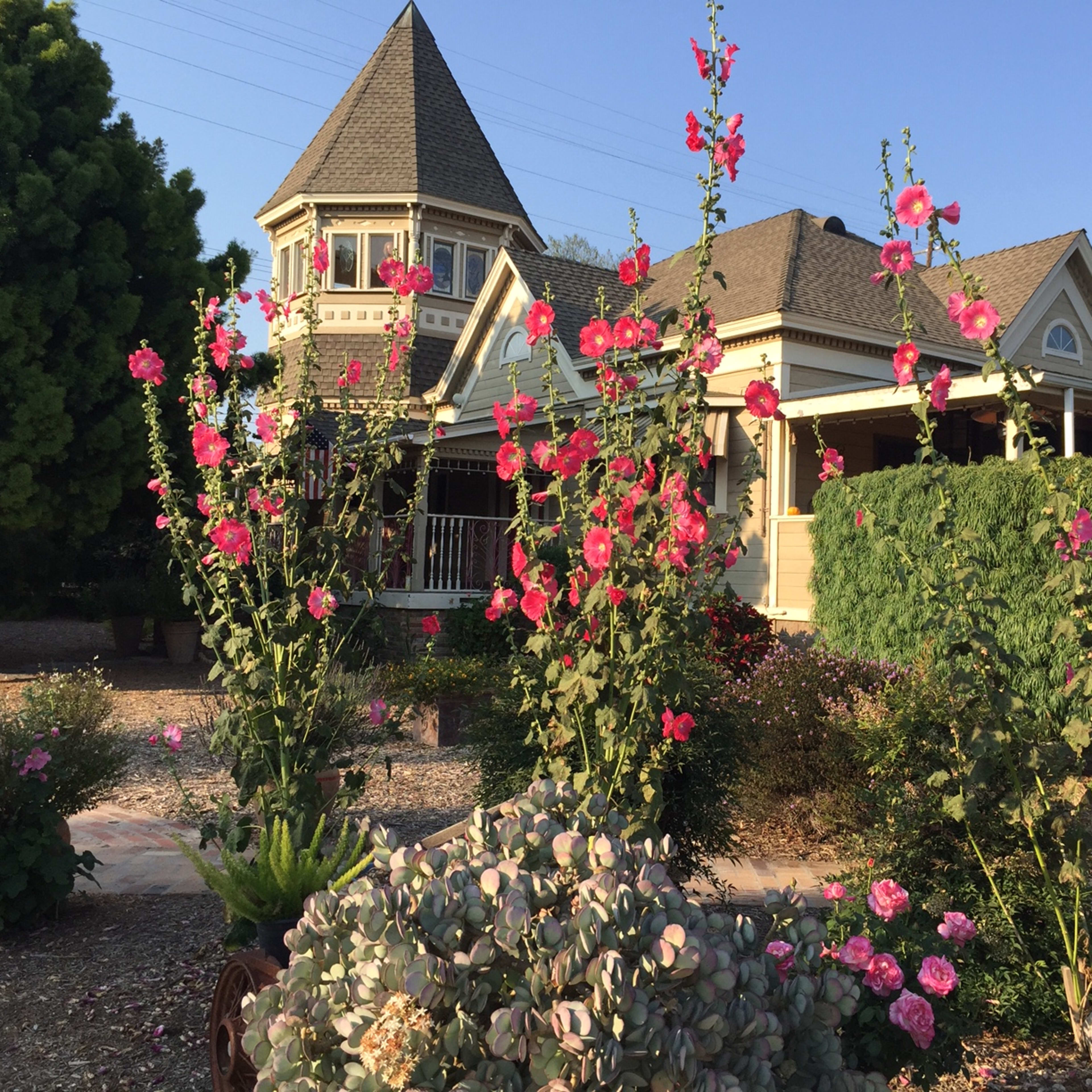 Historical School House Villa Image in , Somis, CA