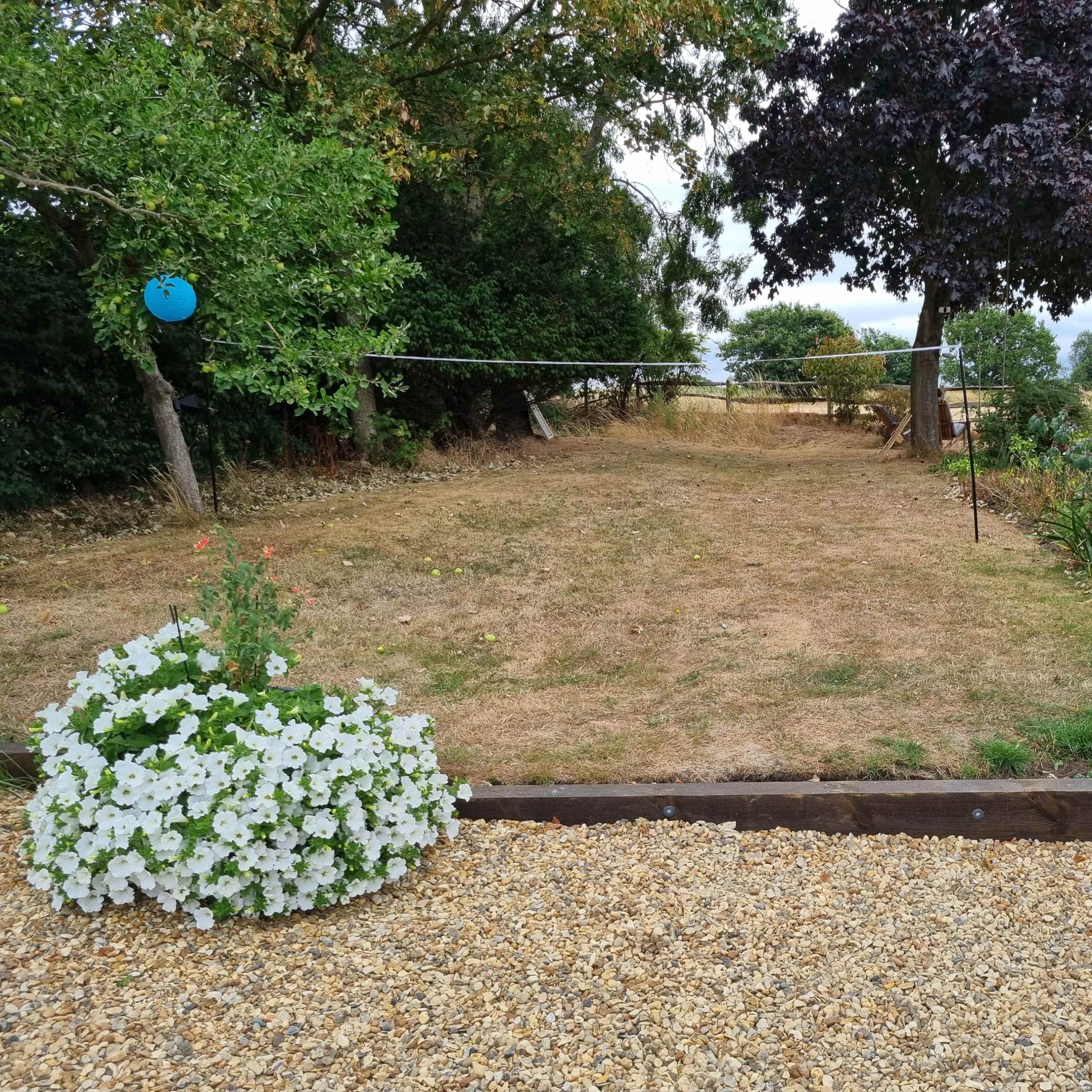 An open grassy area bordered by trees, with a wooden border and flowering plants in the foreground.