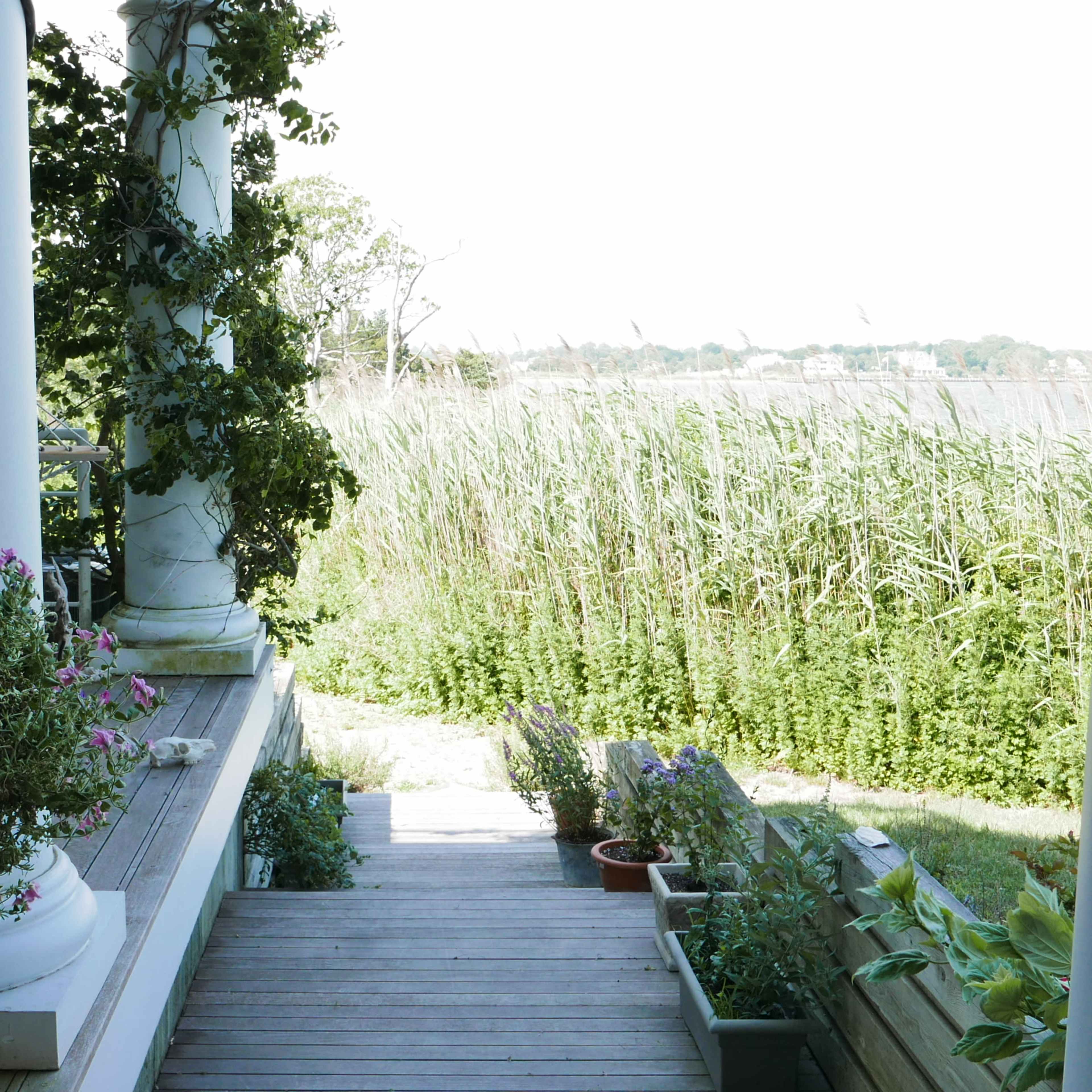 A pathway lined with potted plants leads from a porch with columns to a grassy area beyond.