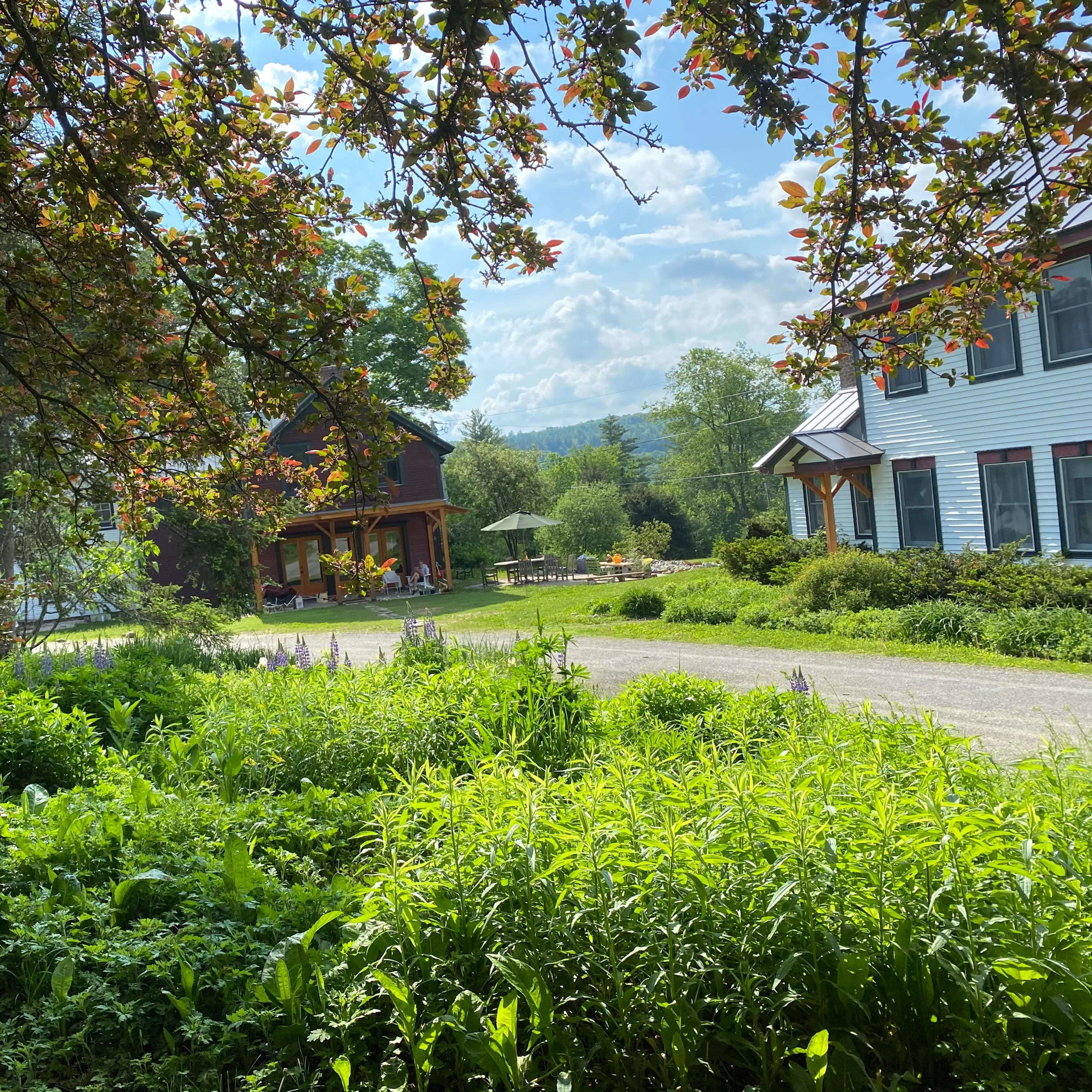 A lush garden frames a path leading to two houses surrounded by trees and mountains in the background.
