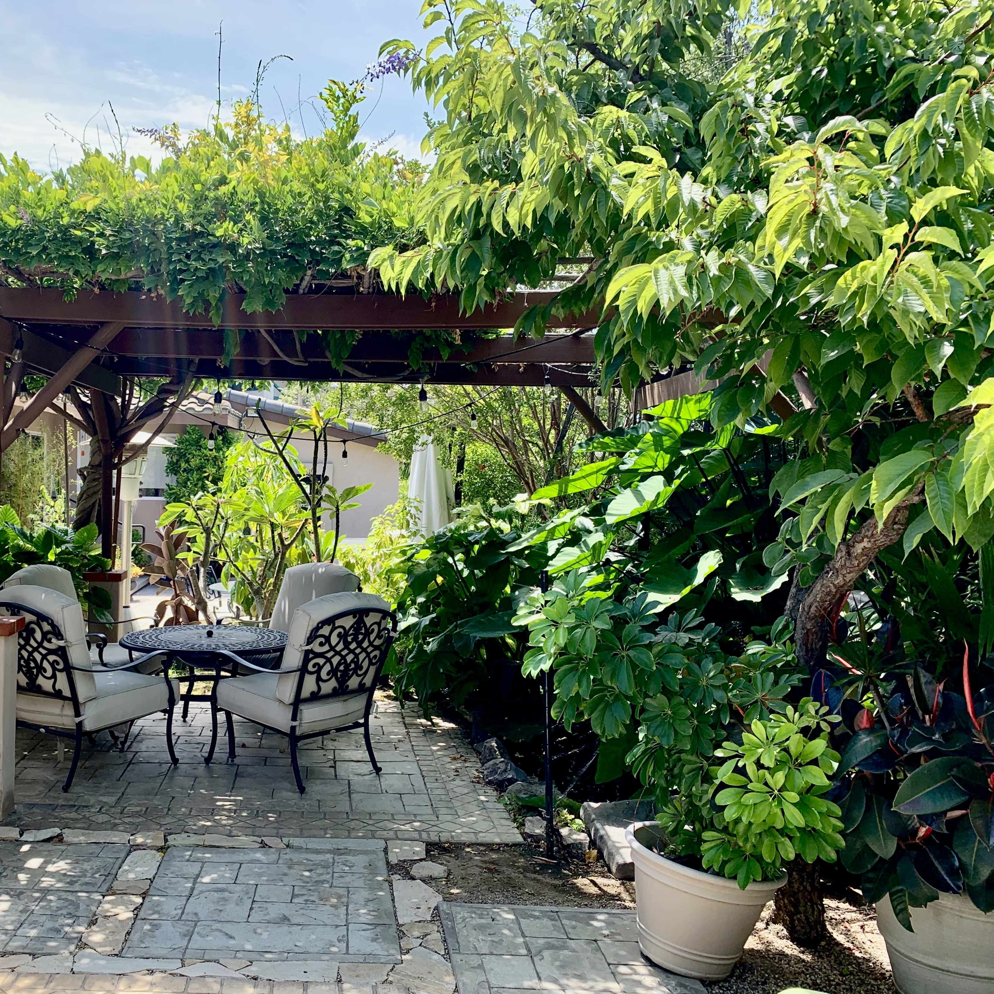 A patio area with a round table and two chairs surrounded by greenery and a wooden pergola.