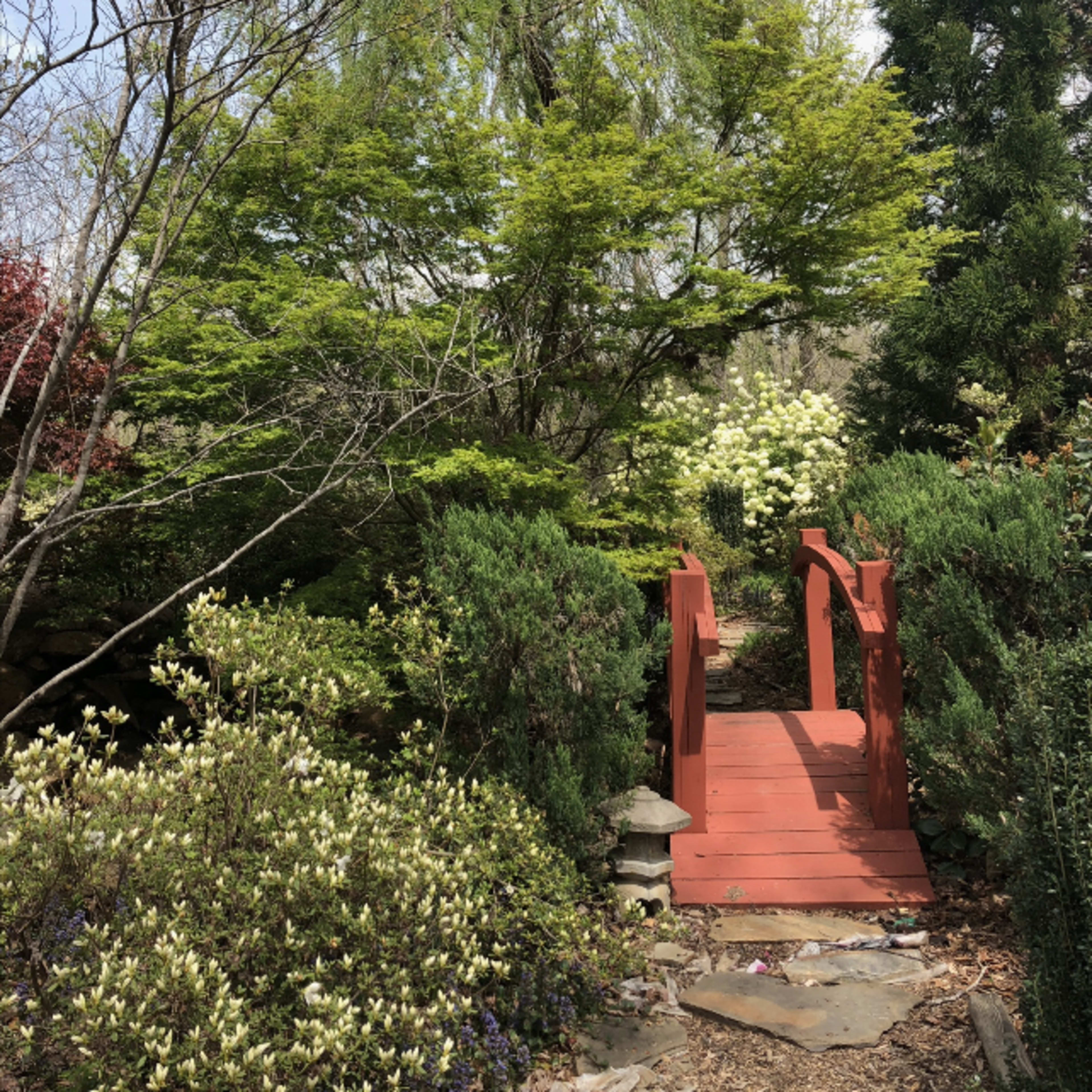 A red wooden bridge spans a small path, surrounded by green shrubs and flowering plants in a tranquil garden setting.