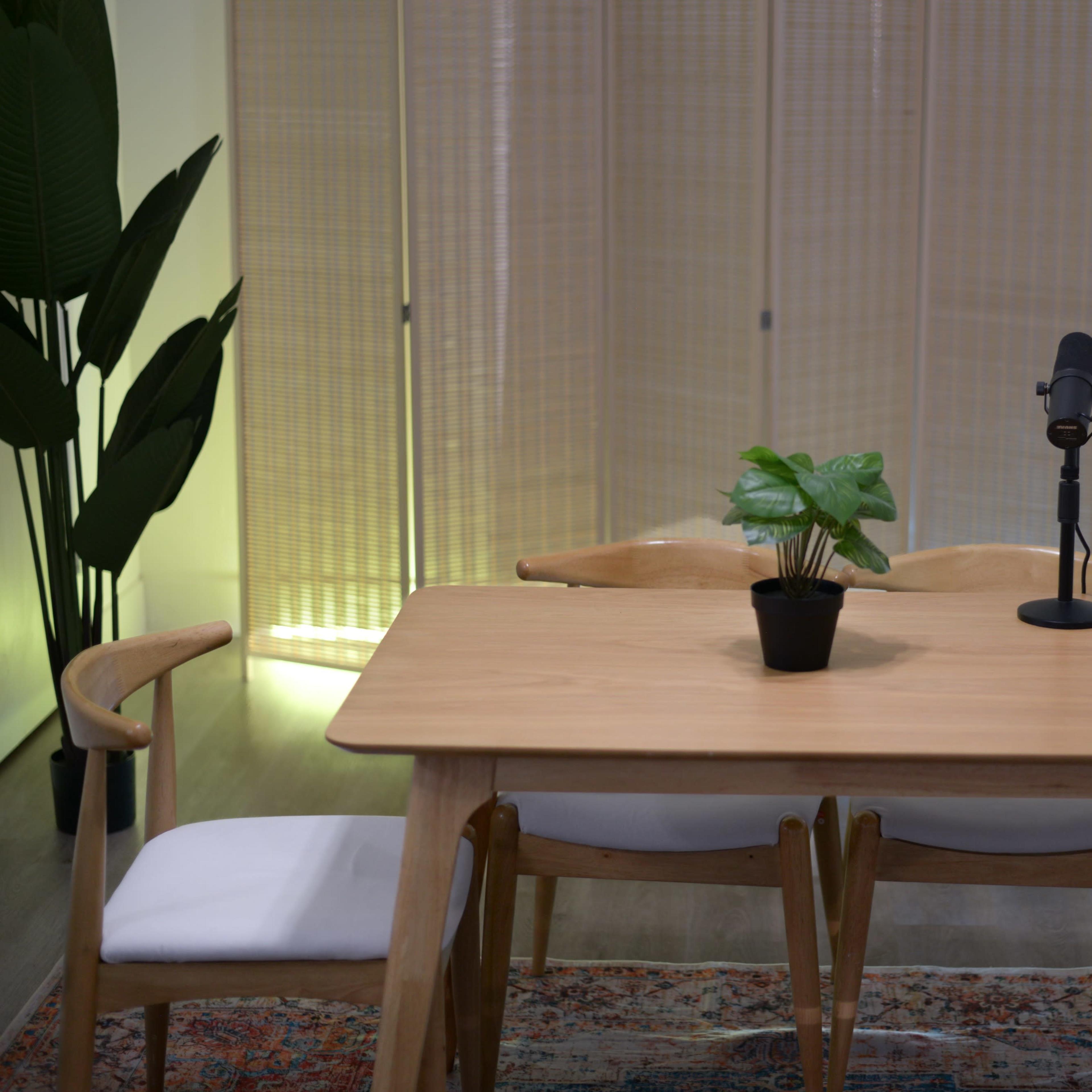 A wooden table with two chairs and a potted plant sits in a room with a microphone on the table and sheer curtains in the background.