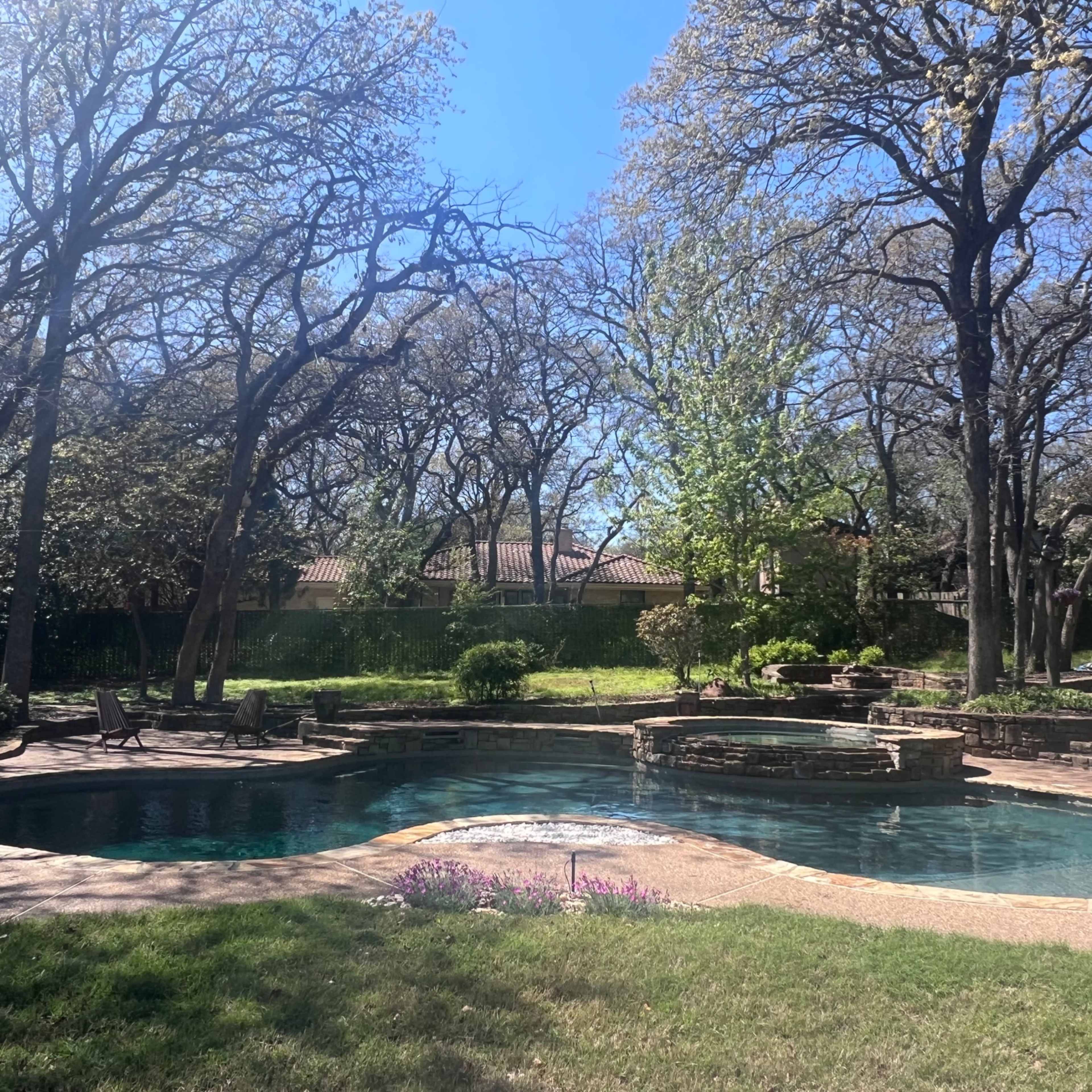 A natural stone pool surrounded by trees and a lawn in a residential backyard.