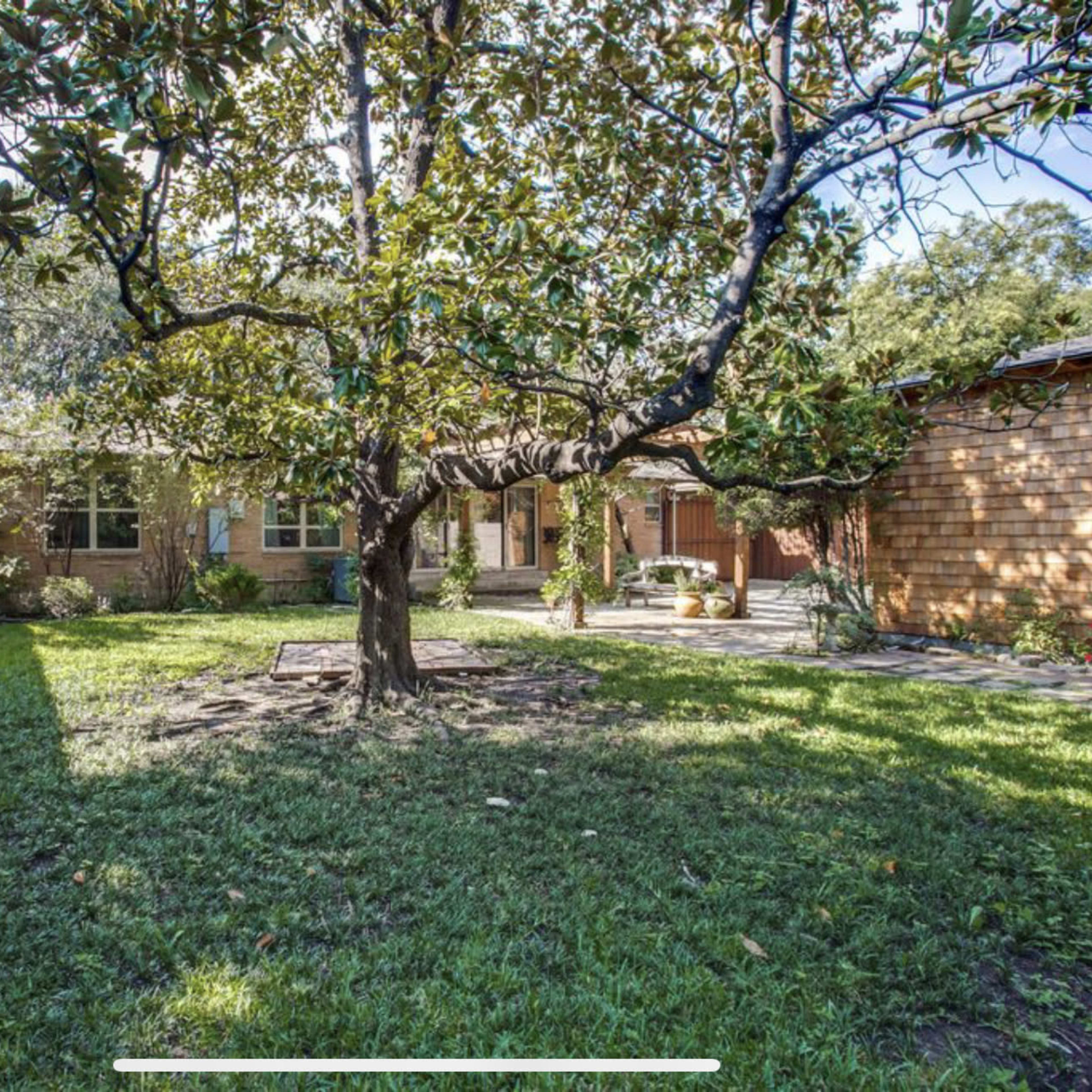 A backyard features a large tree surrounded by a grassy area and a wooden fence.