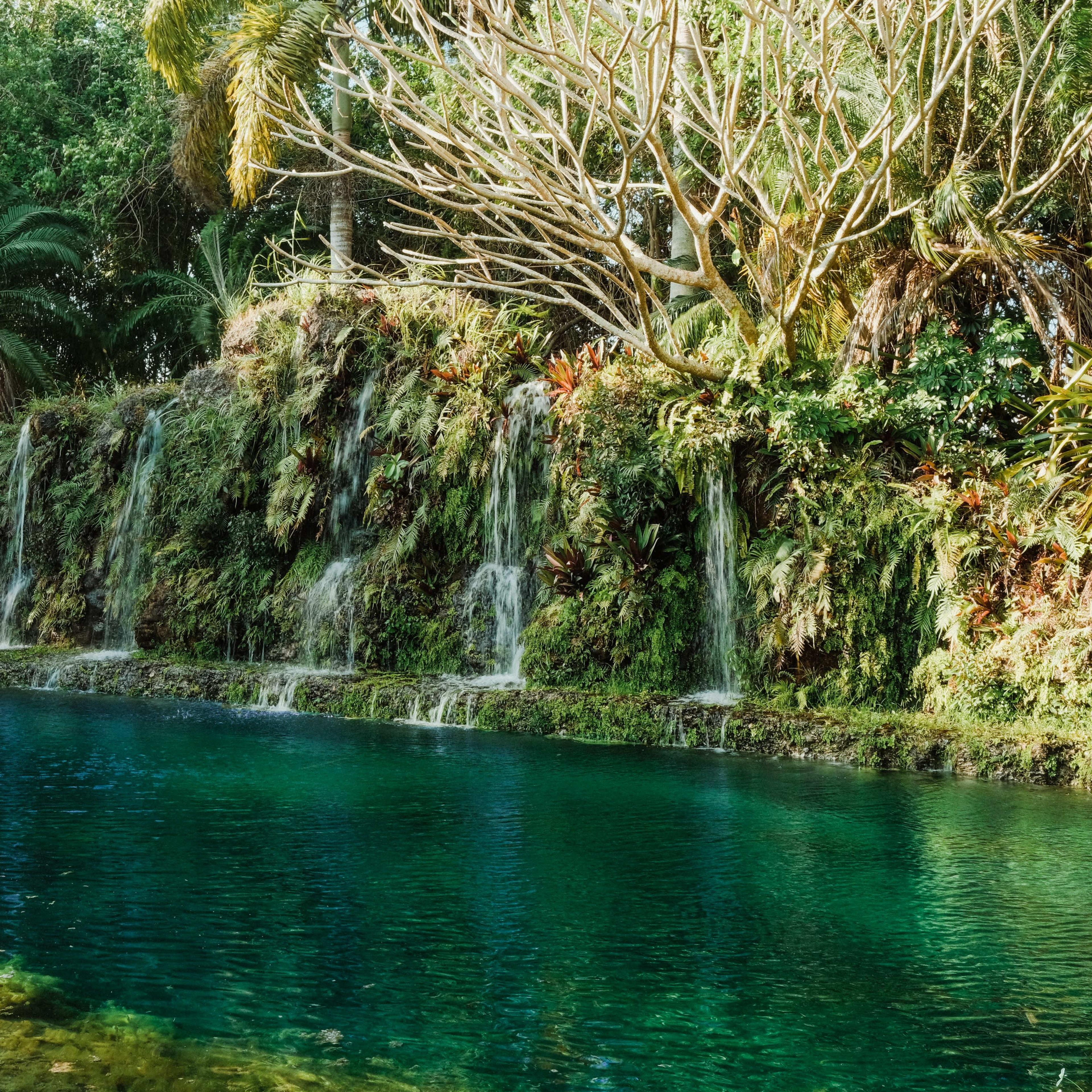 A tranquil pool surrounded by lush greenery and cascading waterfalls.