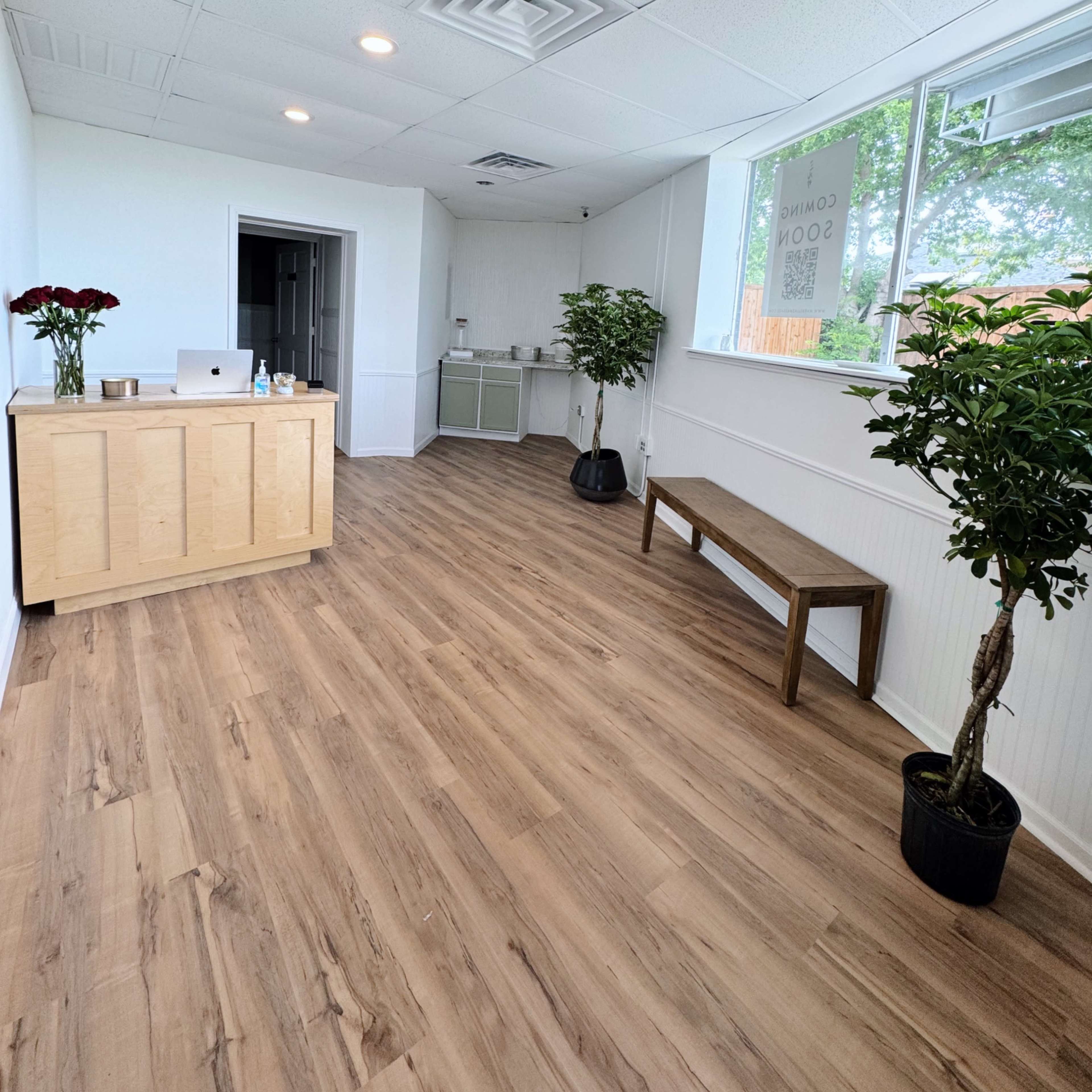 A bright, modern reception area with wooden flooring, a small counter, two potted plants, and a bench.