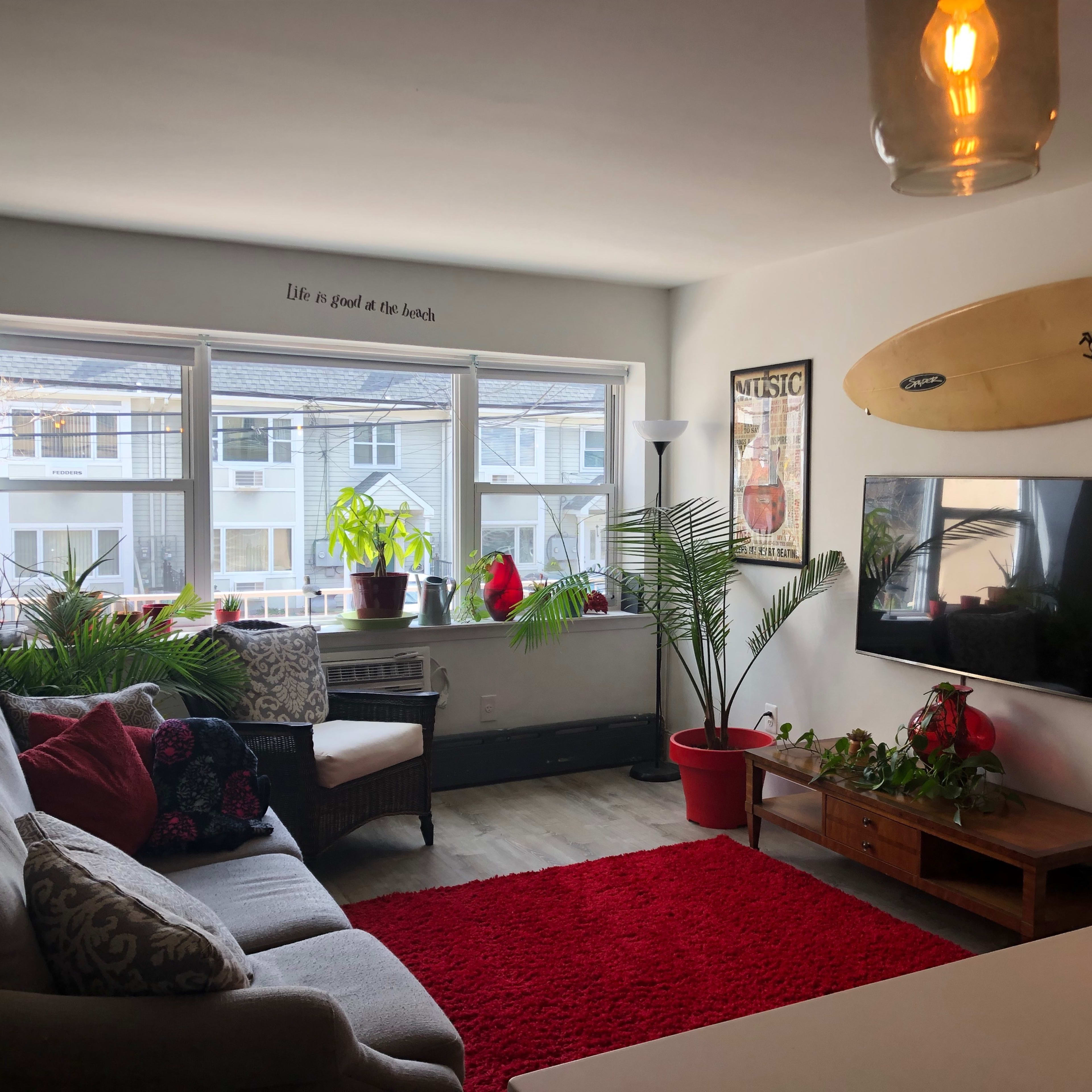 A cozy living room features a gray sofa, a large red rug, a television mounted on the wall, a surfboard, and several plants near the windows.