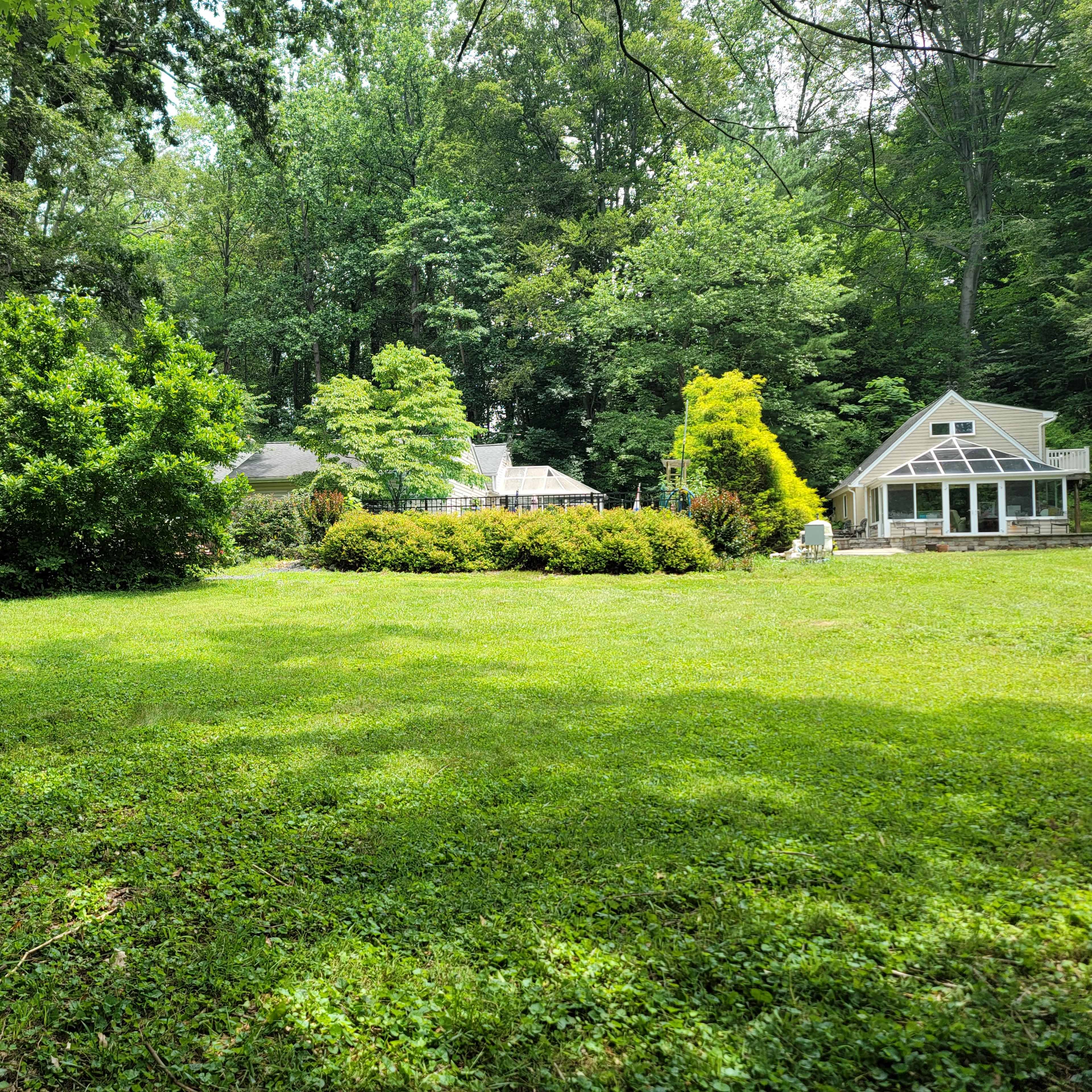 Perfect Outdoor Photography backdrop - Creekside grassy knoll under the shade of trees Image in Kingsville, Kingsville, MD