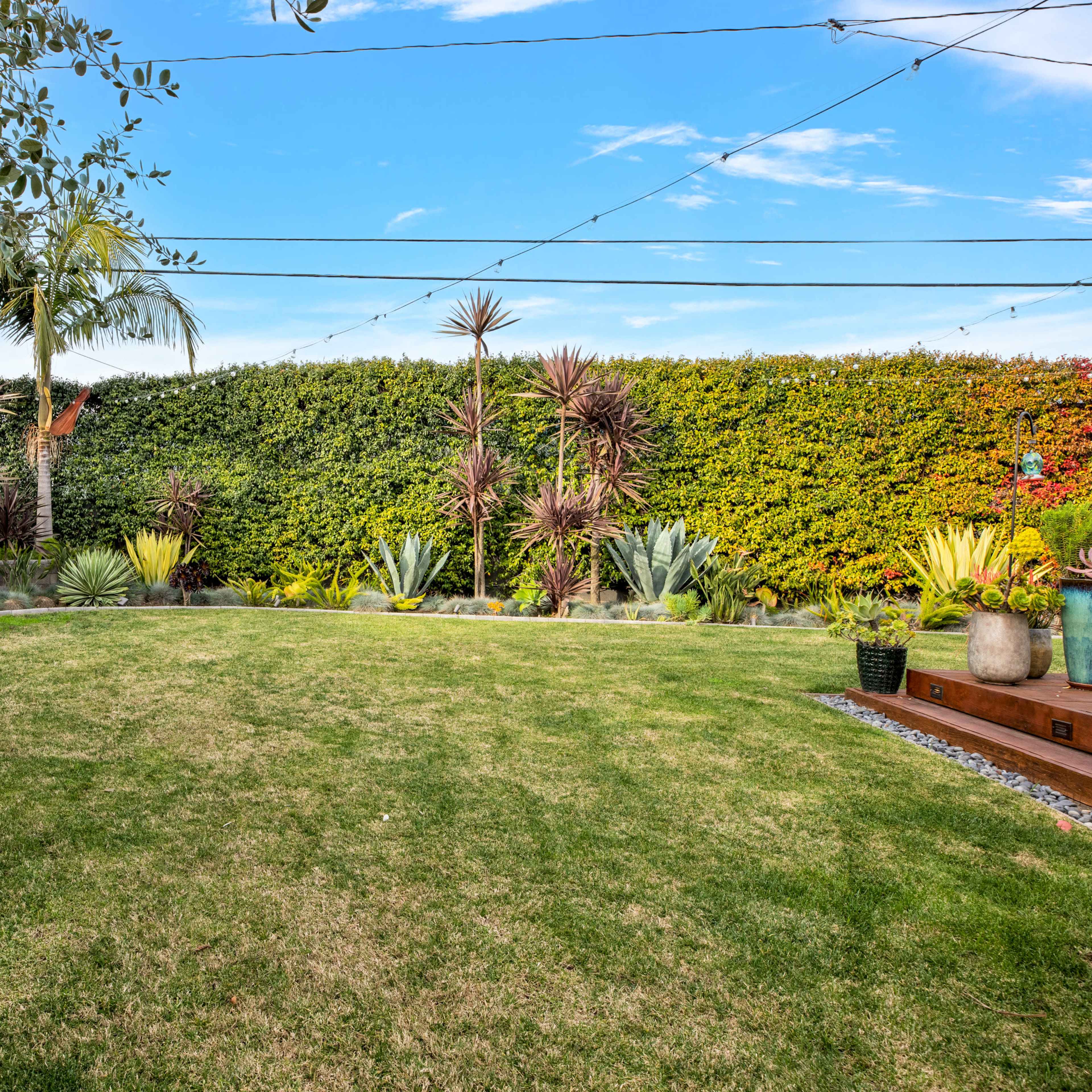 A lush, green backyard enclosed by tall hedges and adorned with various plants under a clear blue sky.
