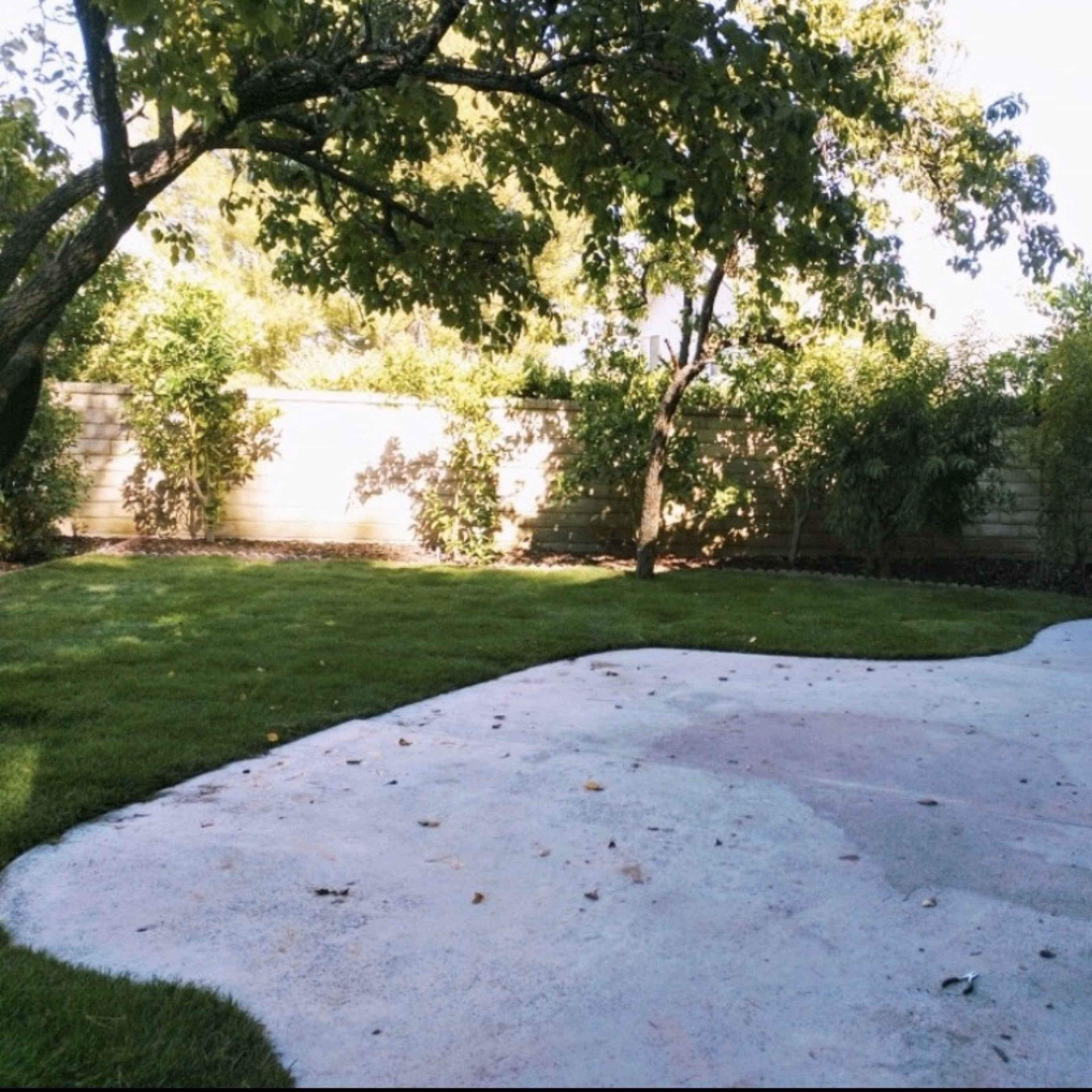 A winding concrete pathway leads through a well-maintained grassy yard surrounded by various shrubs and trees.