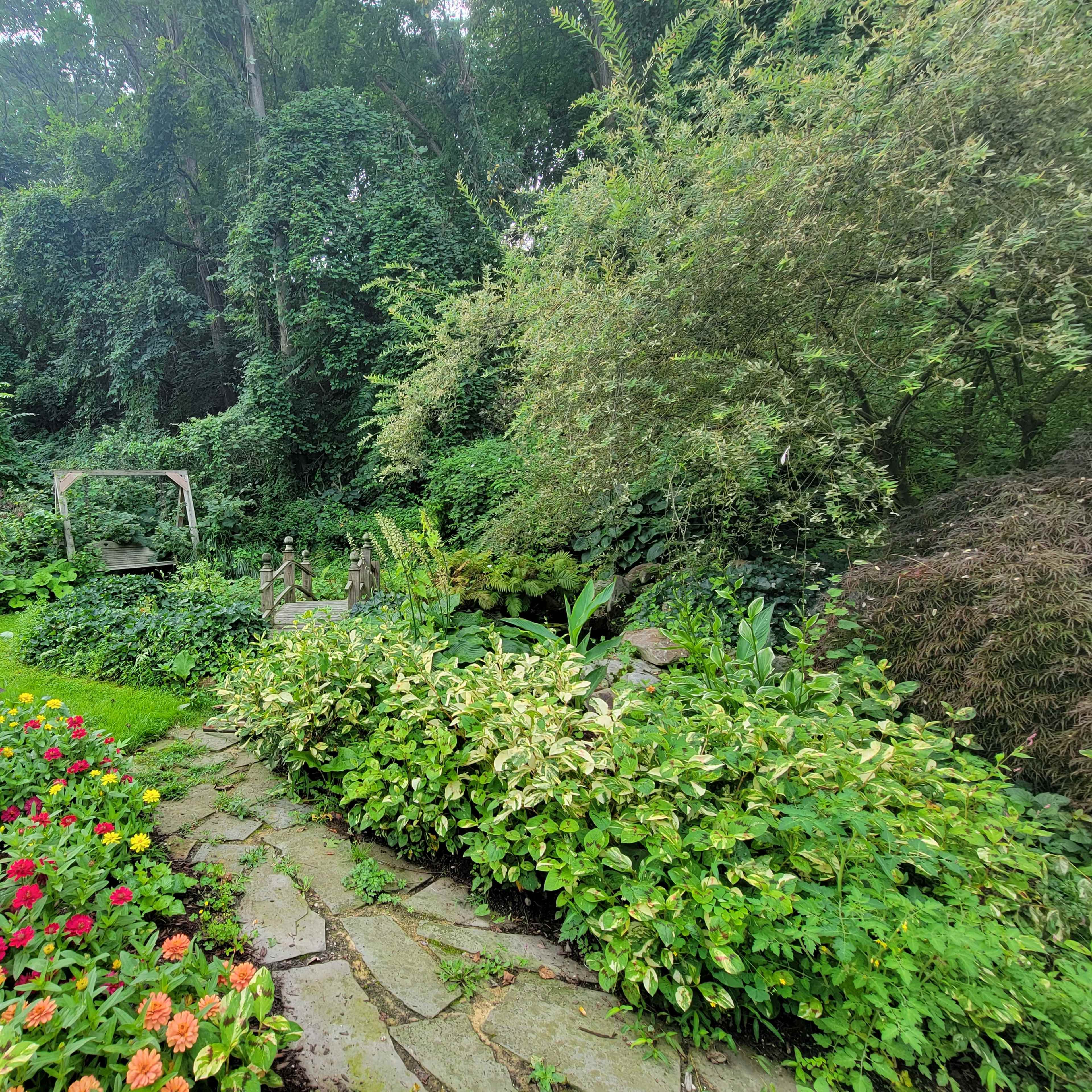 A stone path winds through a lush garden filled with vibrant flowers and dense greenery, leading towards a shaded area with a wooden swing.